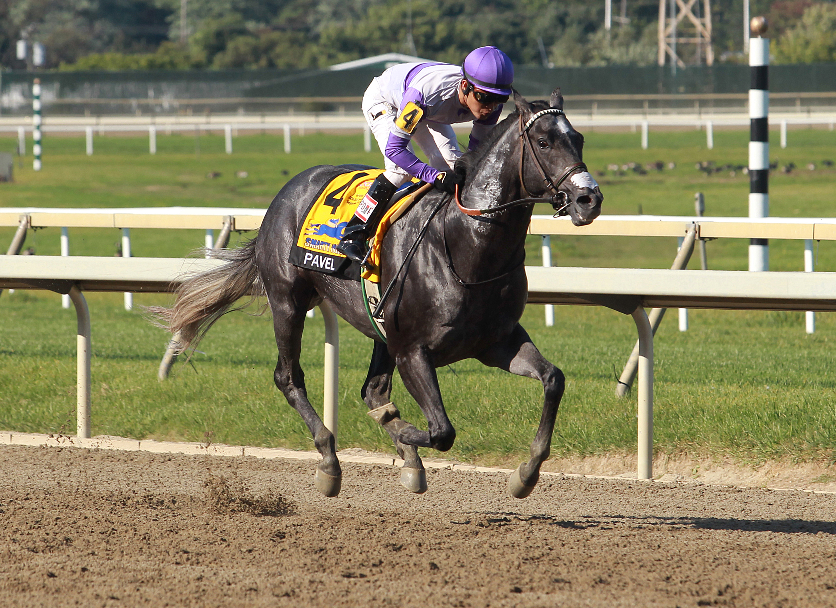 Pavel wins the 2017 Smarty Jones