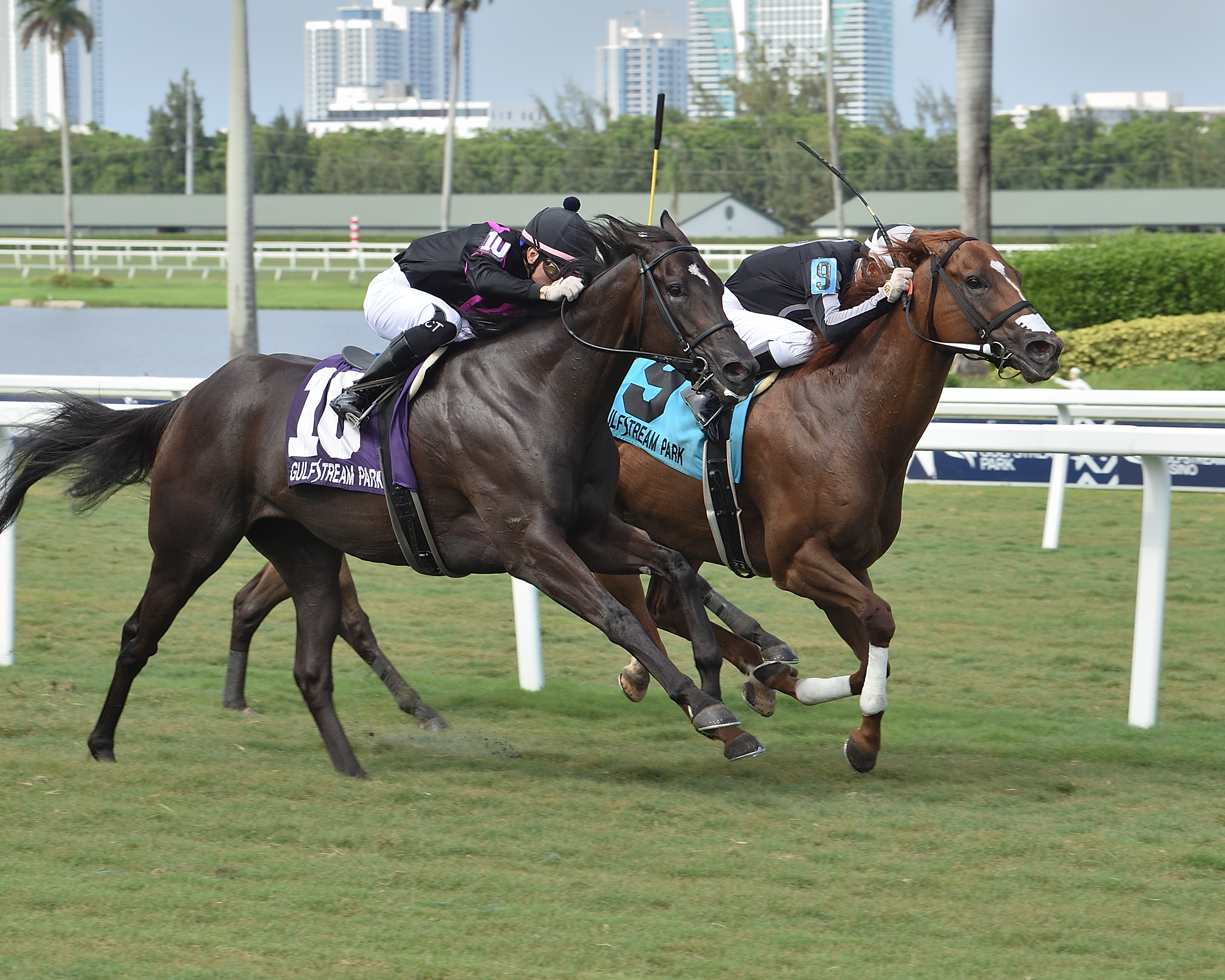 Pay Any Price/Umphrey Turf Sprint