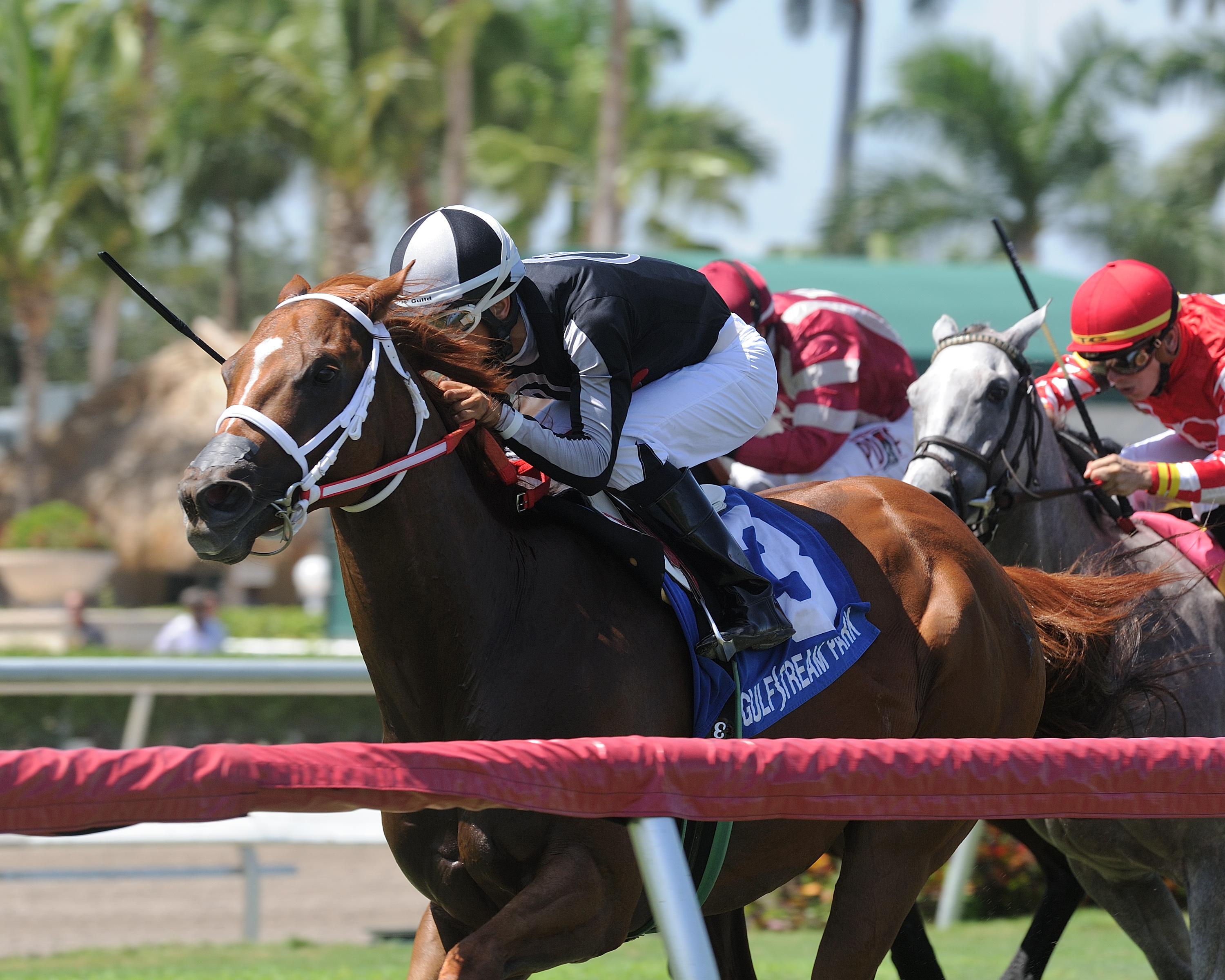 Pay Any Price wins 2018 Tamiani