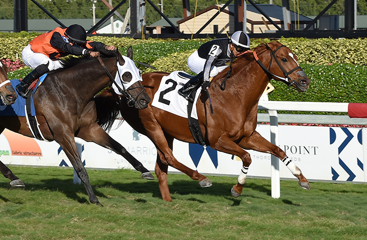 Pay Any Price wins a Jan. 5 allowance at Gulfstream Park