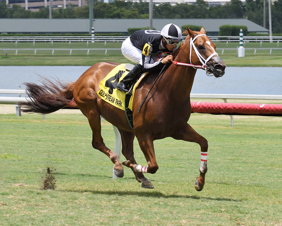 Pay Any Price wins the Crystal River Stakes