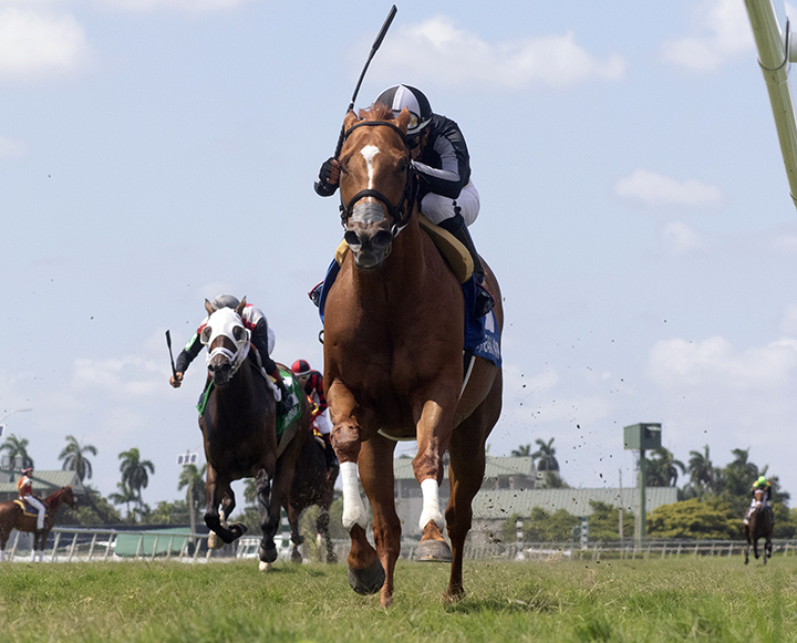 Pay Any Price wins the 2019 Crystal River Stakes