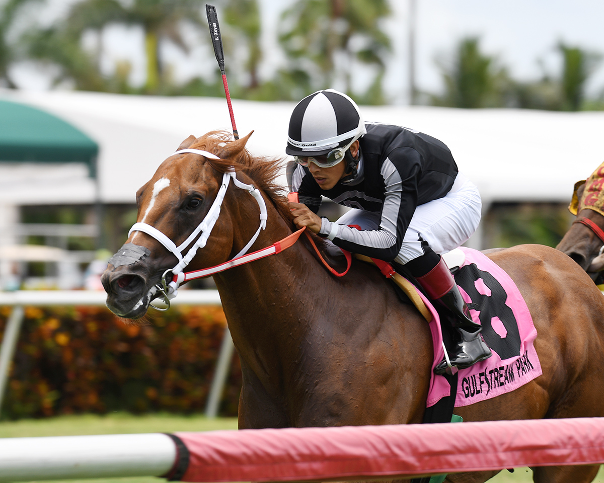 Pay Any Price wins the 2018 Bob Umphrey Turf Sprint Stakes
