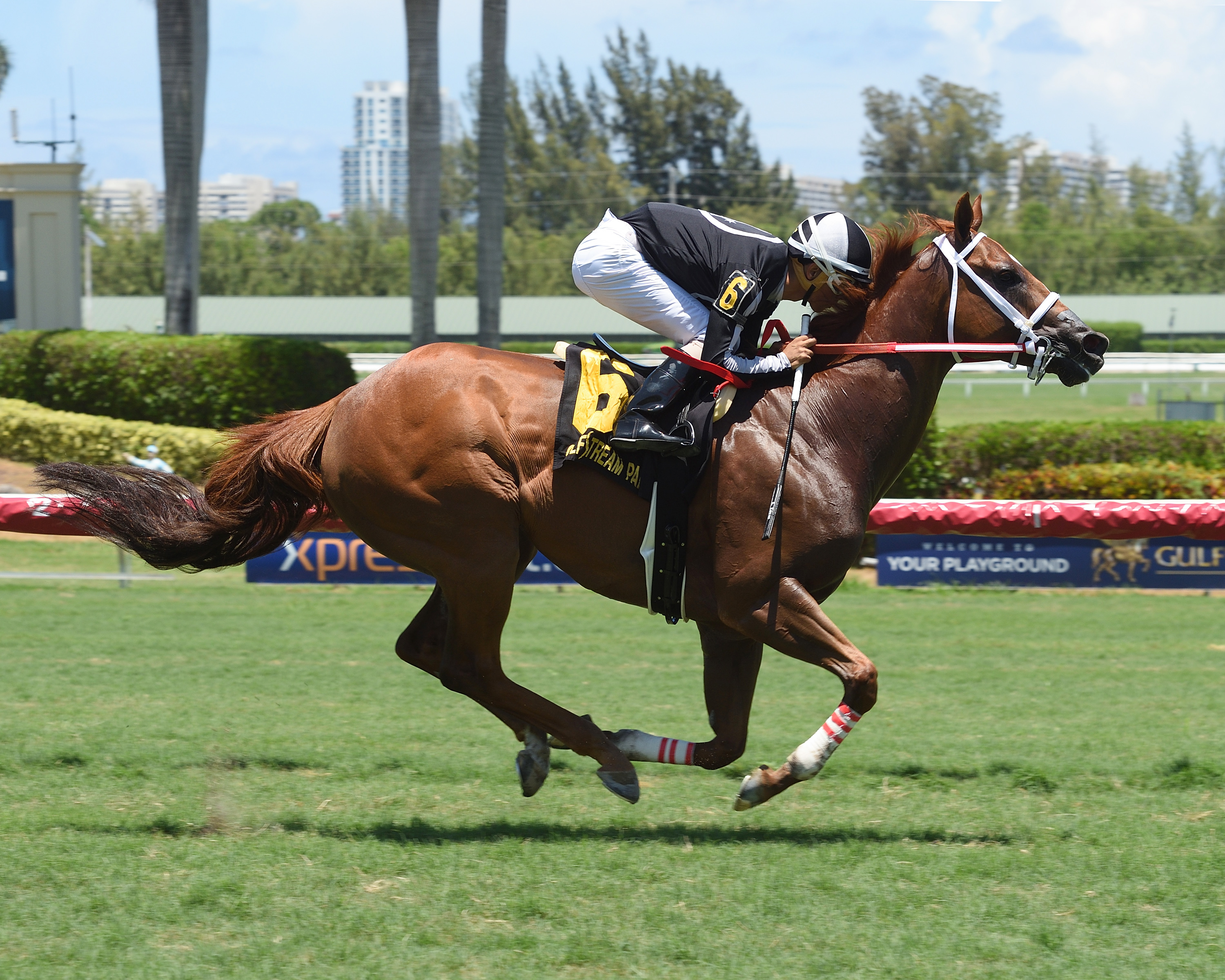 Pay Any Price wins the 2017 Bob Umphrey Sprint Stakes