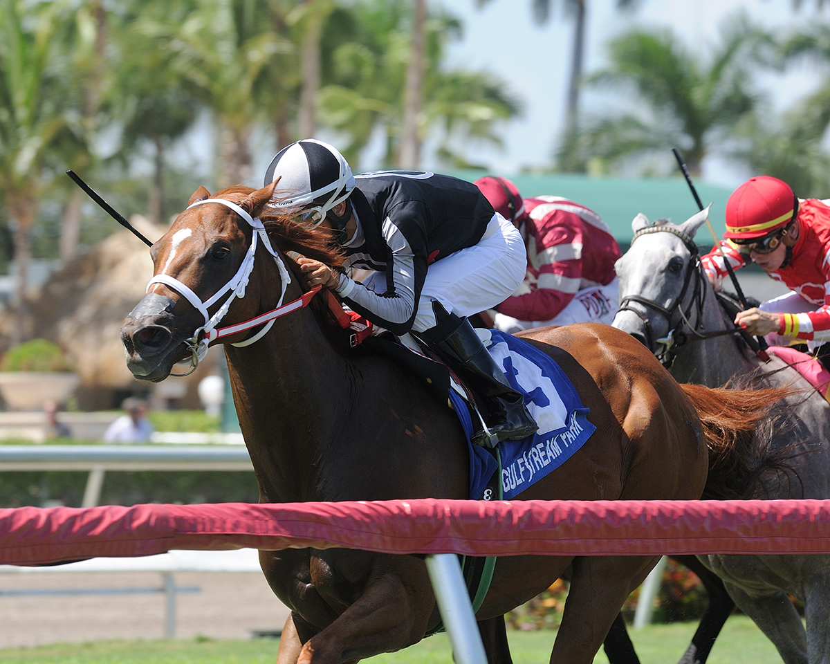 Pay Any Price wins the 2018 Tamiami Stakes