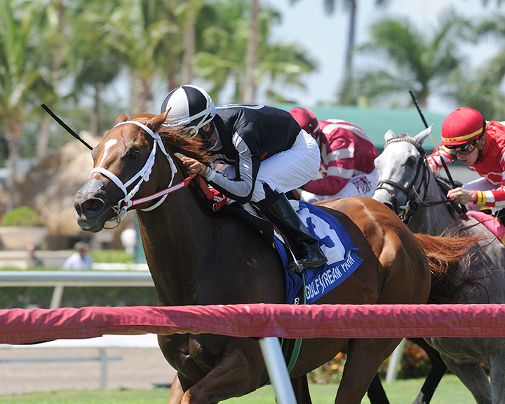 Pay Any Price wins the 2018 Tamiami Stakes