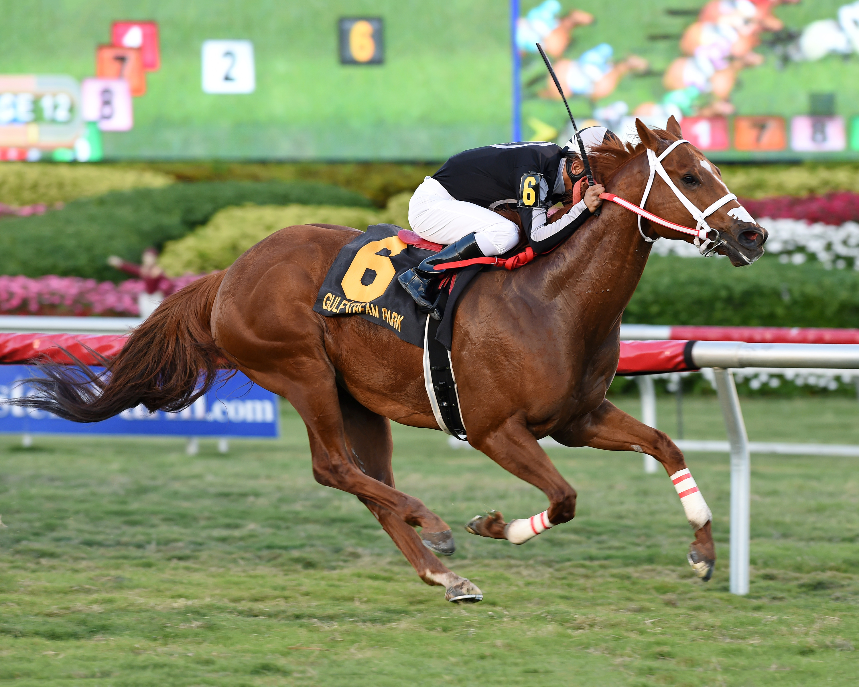 Pay Any Price wins the Silks Run Stakes