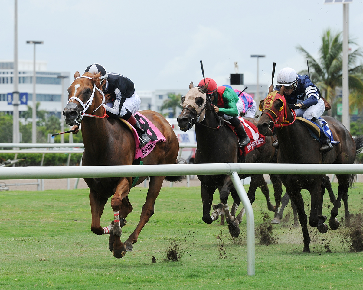 Pay Any Price wins the 2018 Bob Umphrey Turf Sprint
