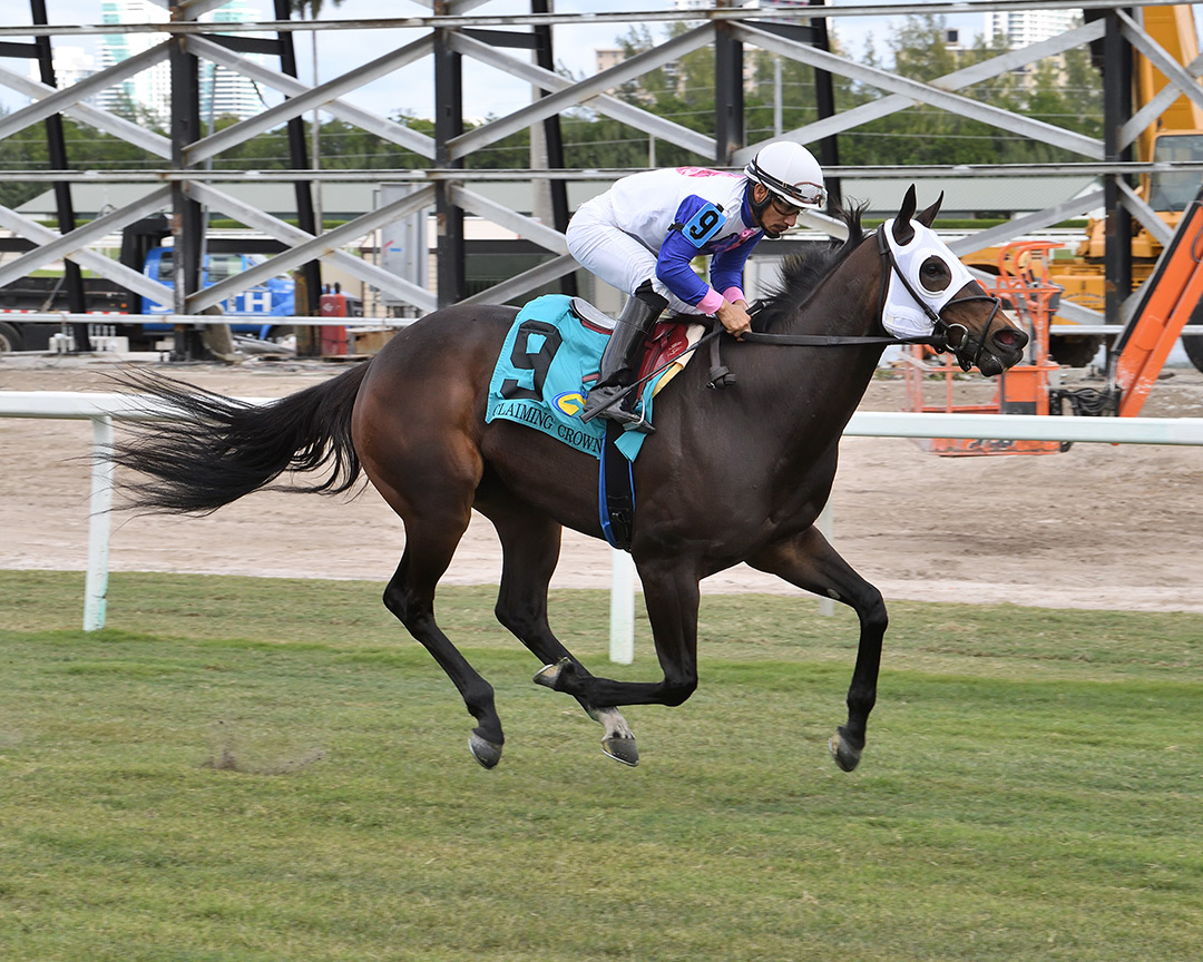 Payntdembluesaway wins the Claiming Crown Distaff Dash at Gulfstream Park