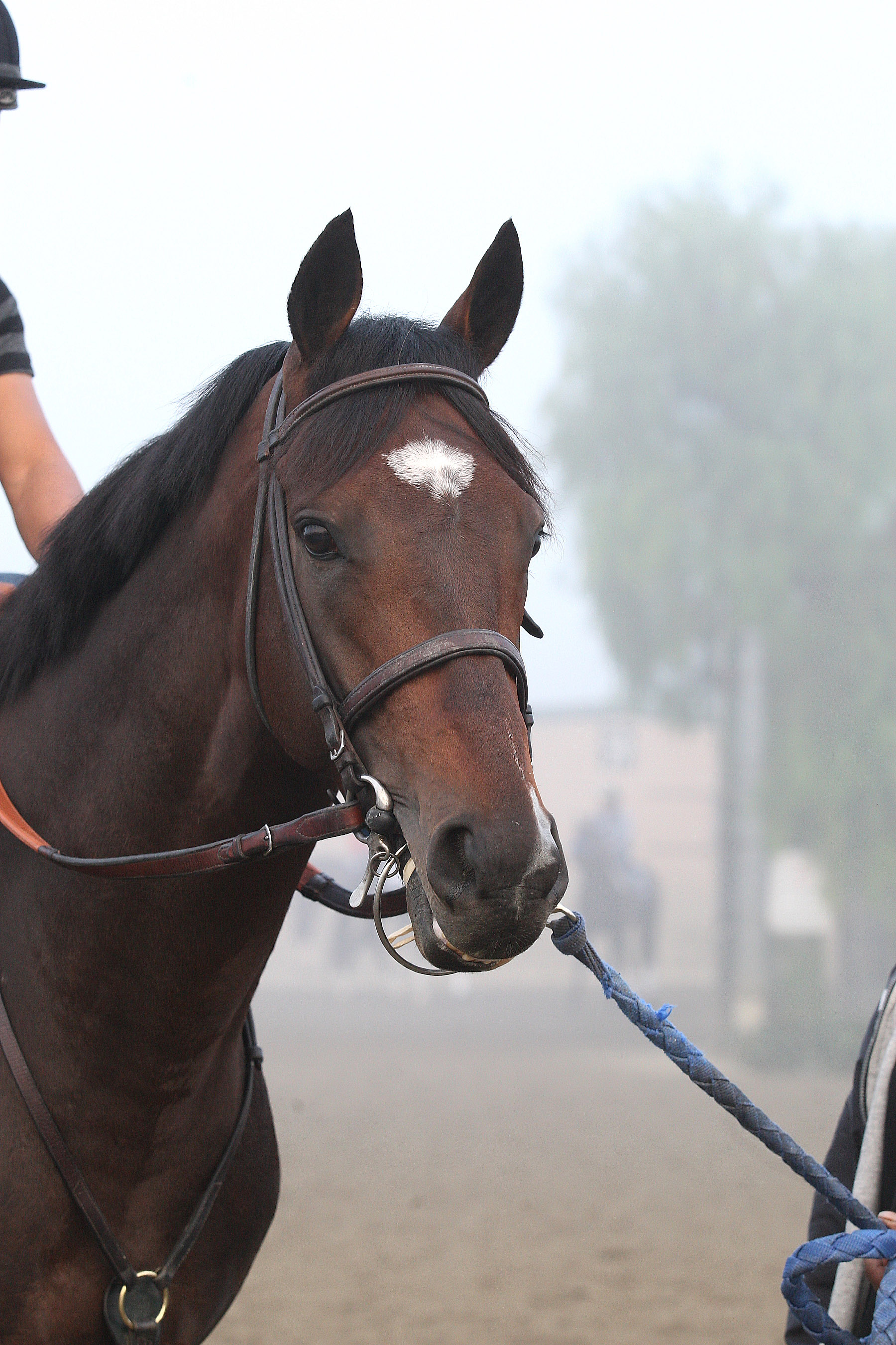 paynter