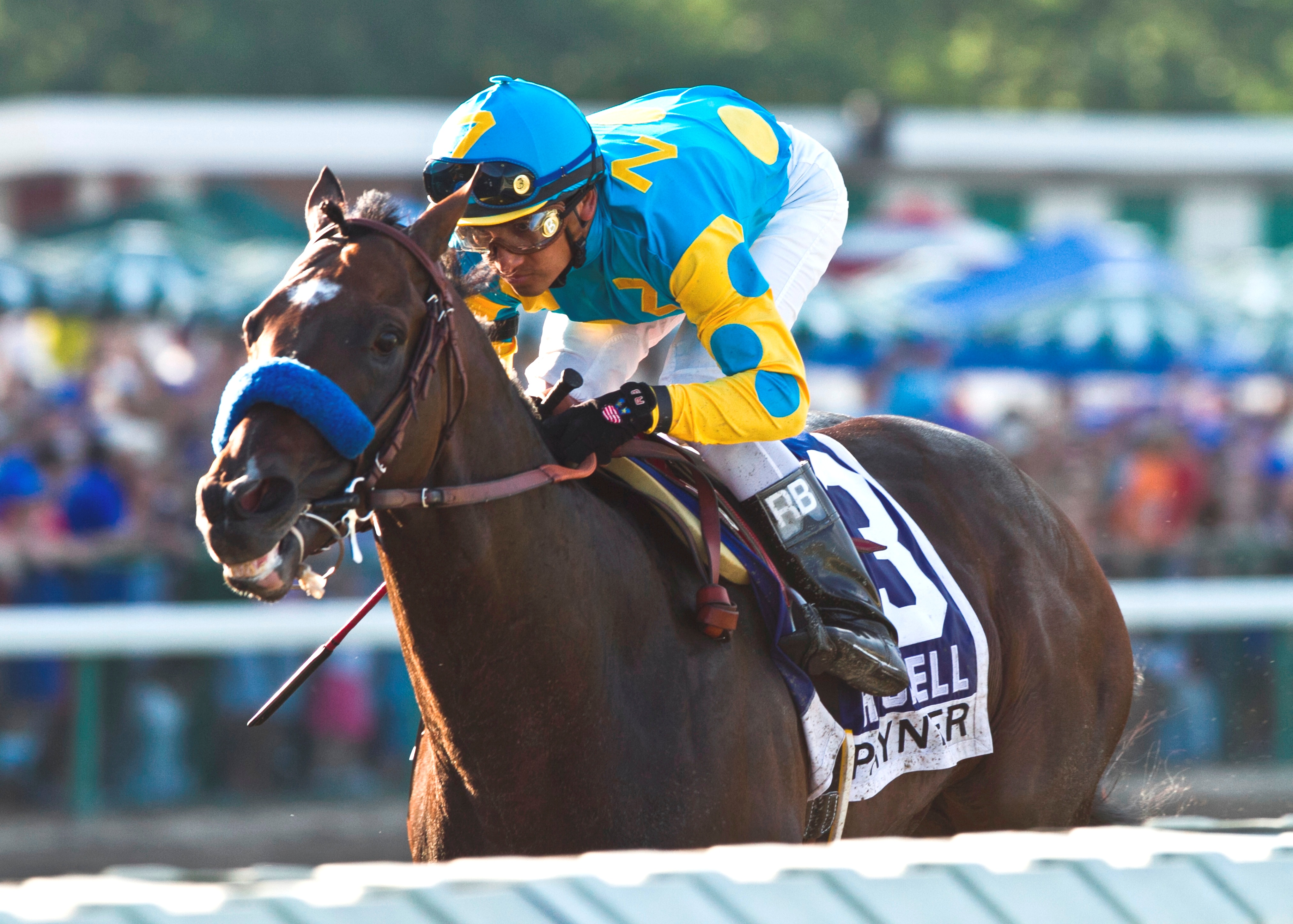 Paynter, Haskell