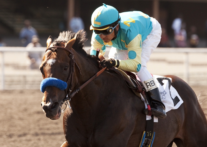 Paynter