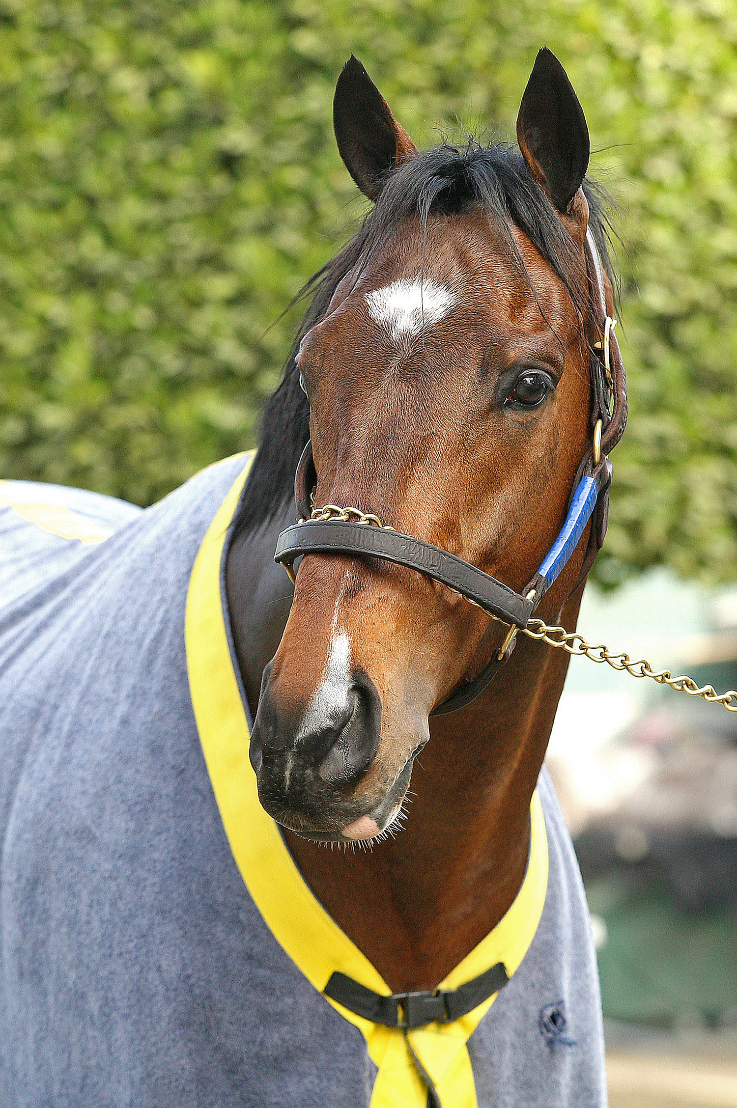 Paynter