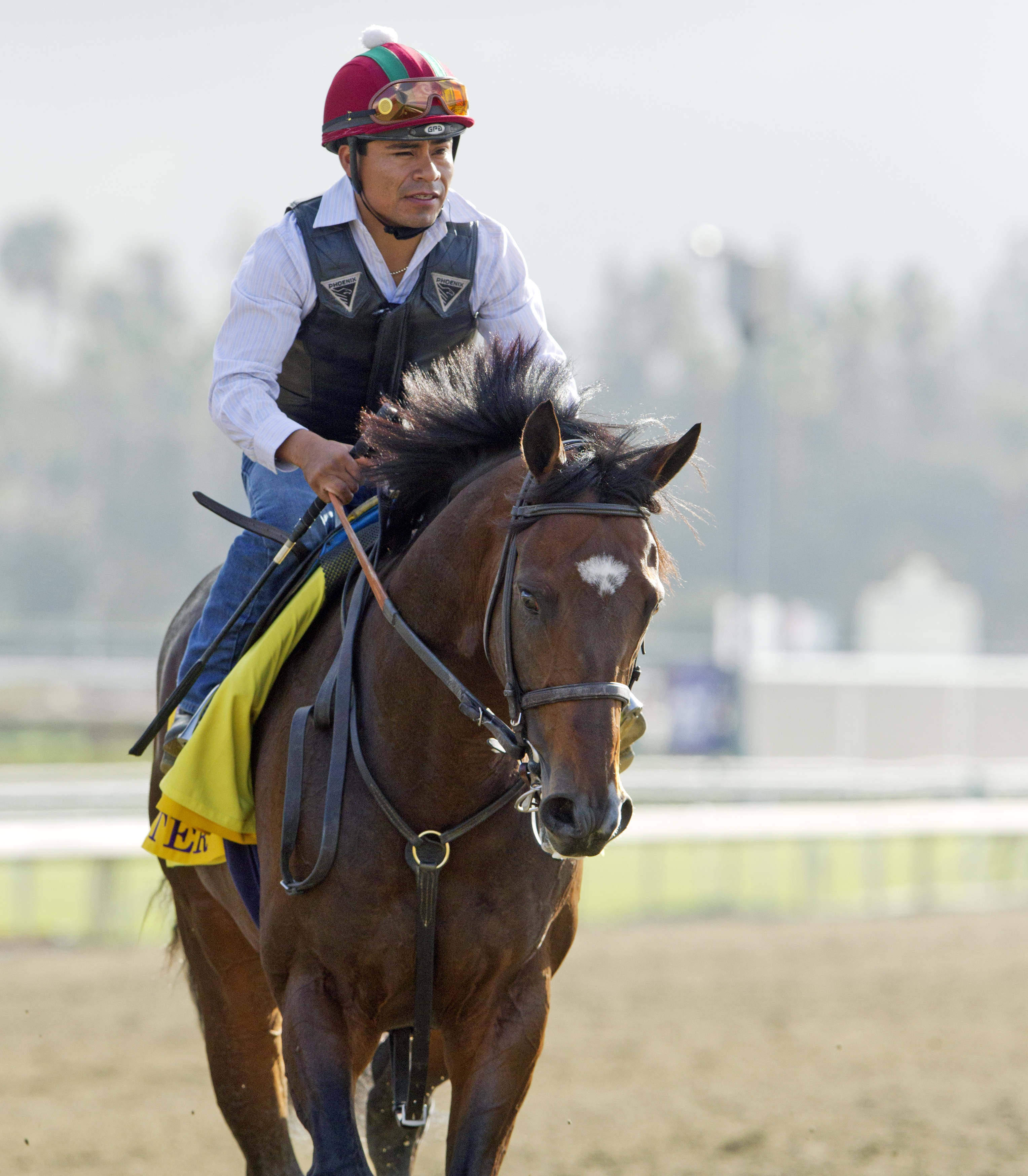 Paynter