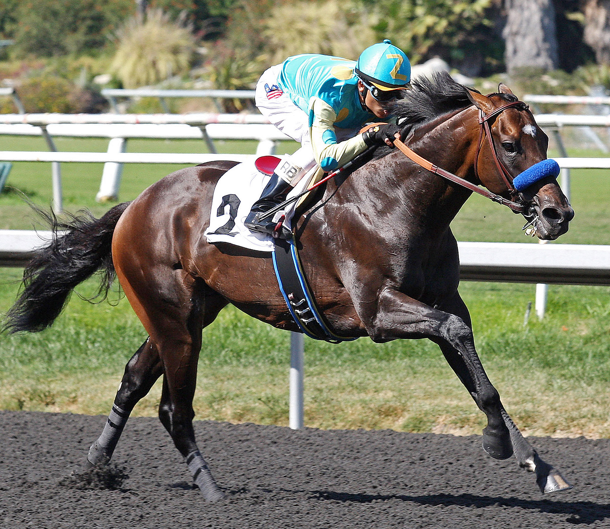 Paynter winning first race back