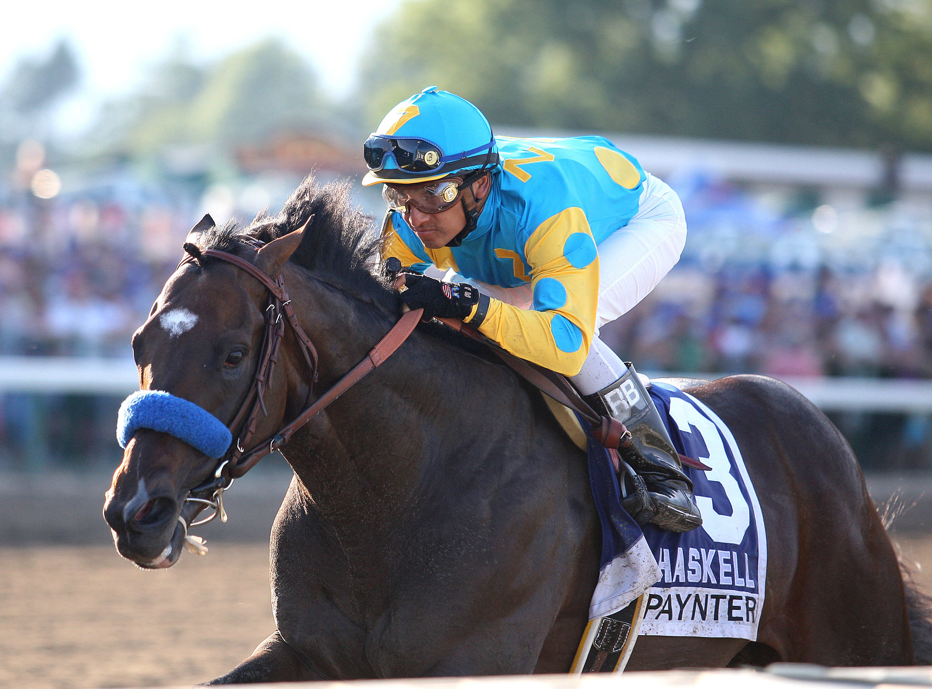 Paynter/Haskell