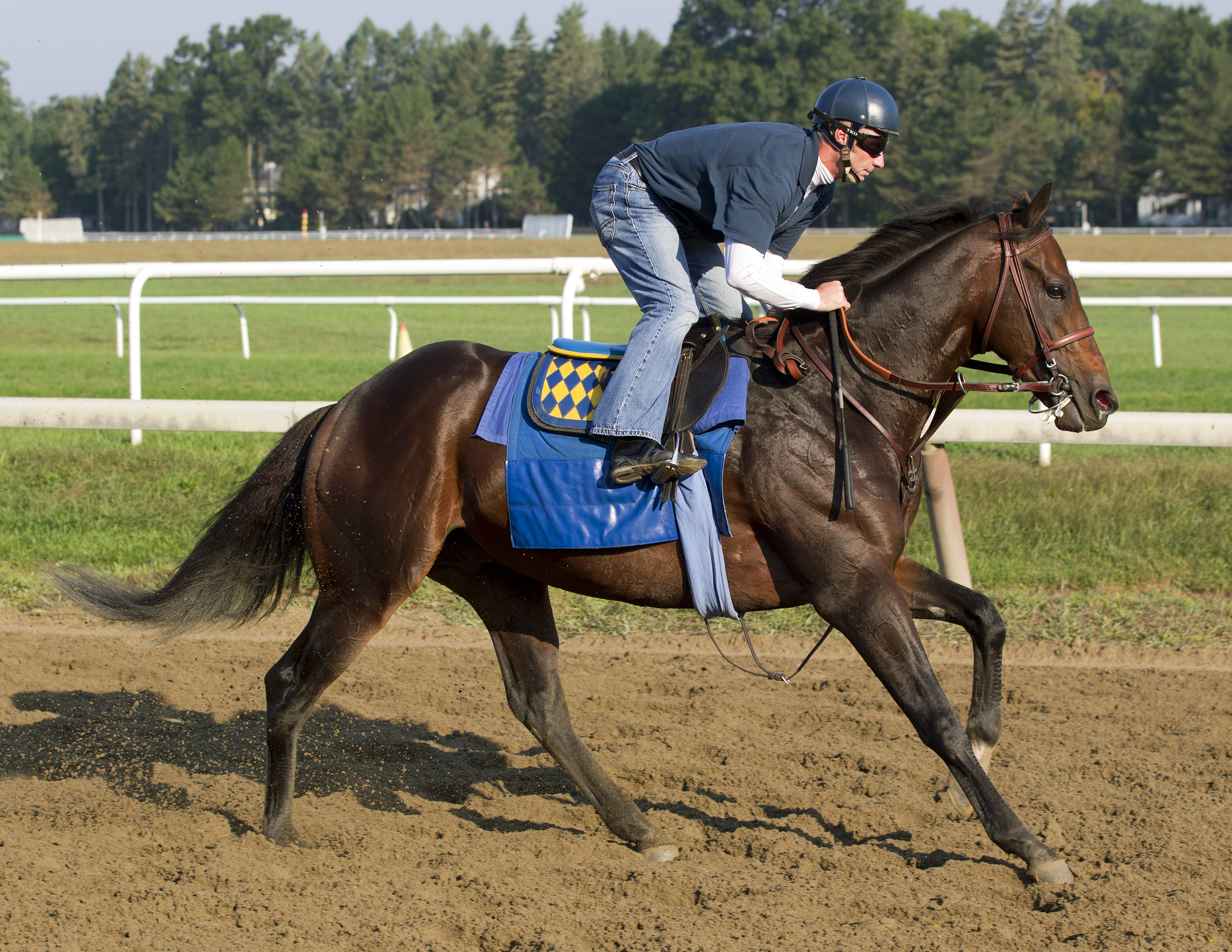 Paynter