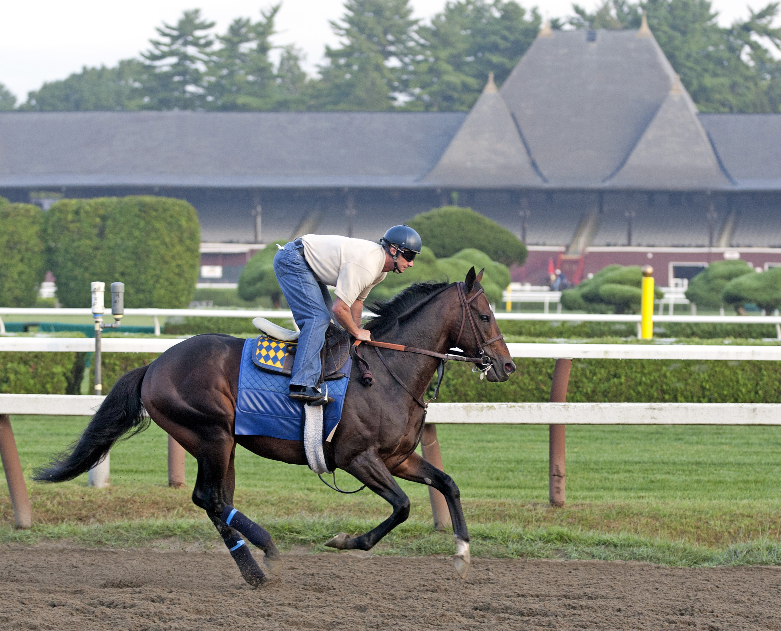 Paynter