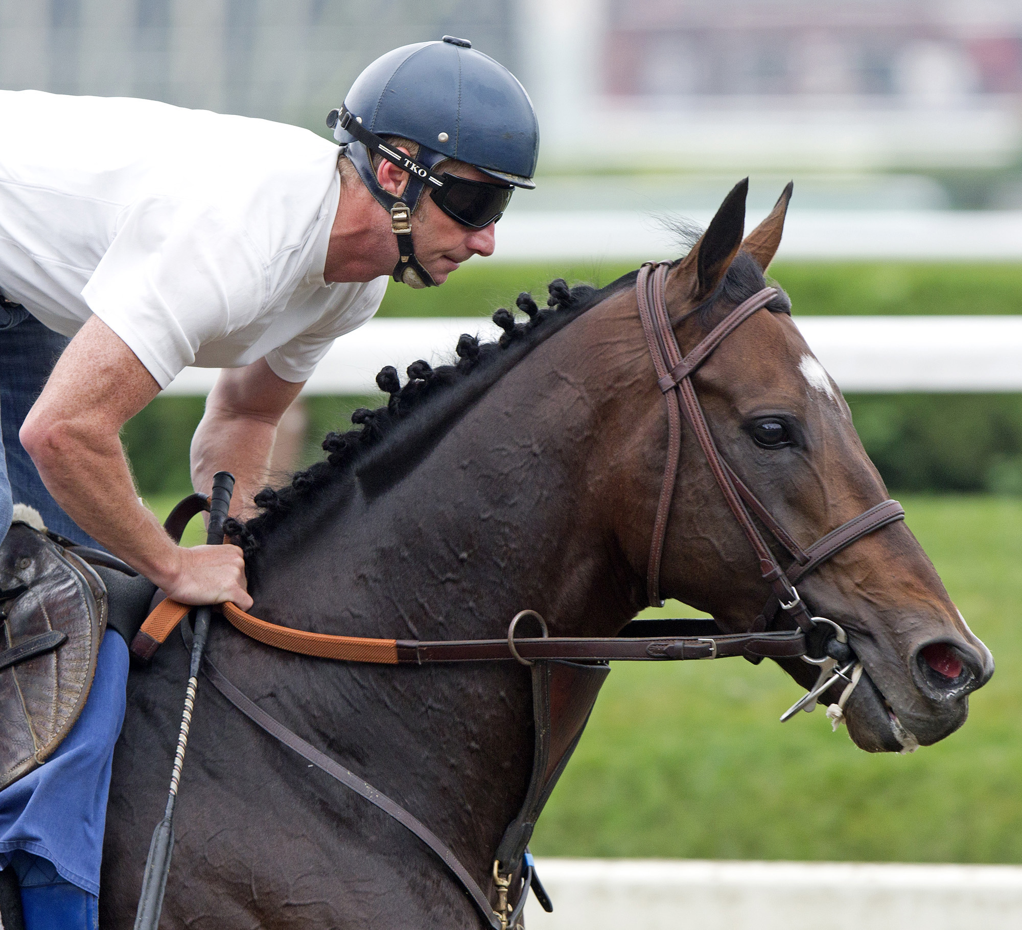 Paynter