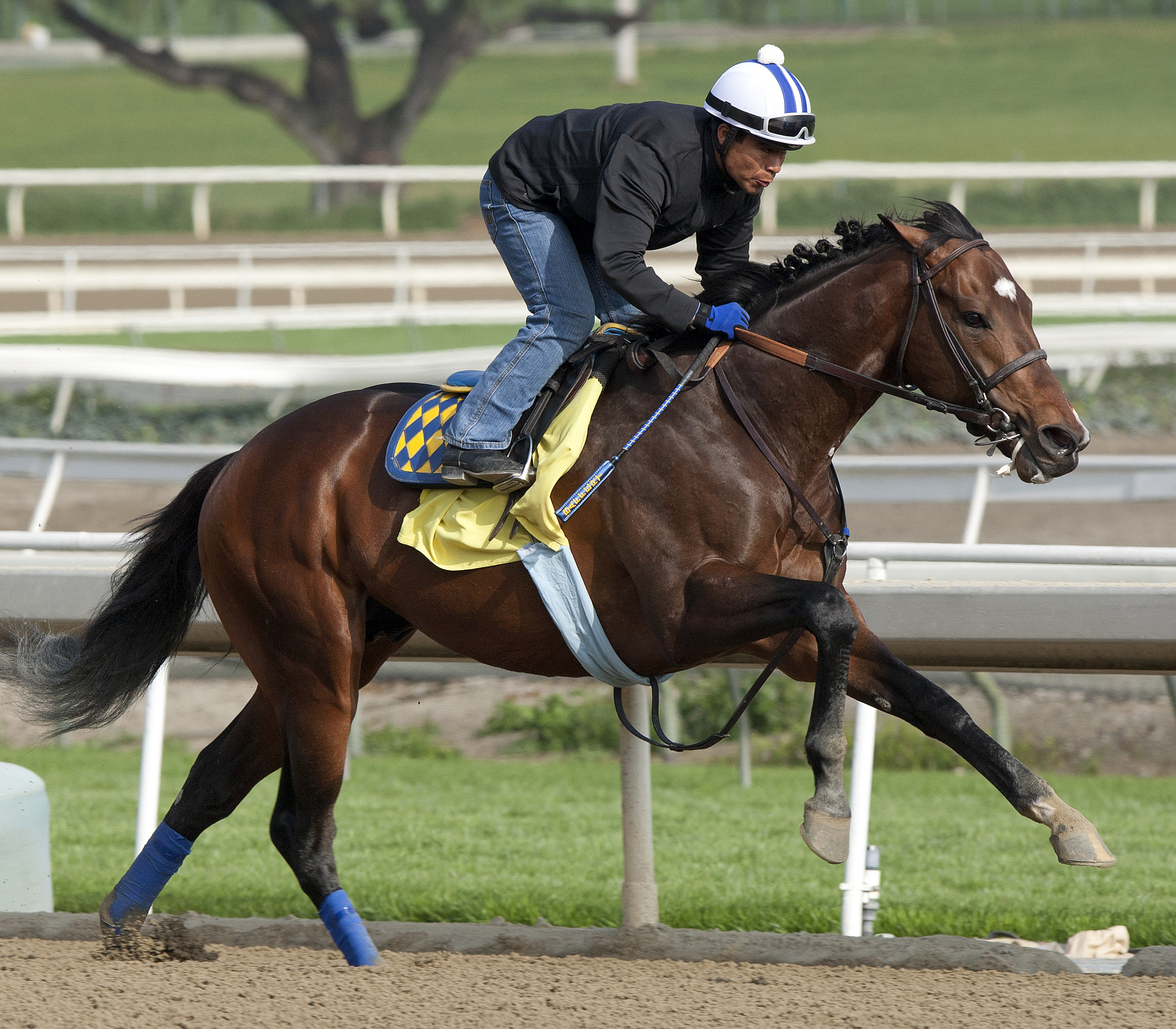 Paynter