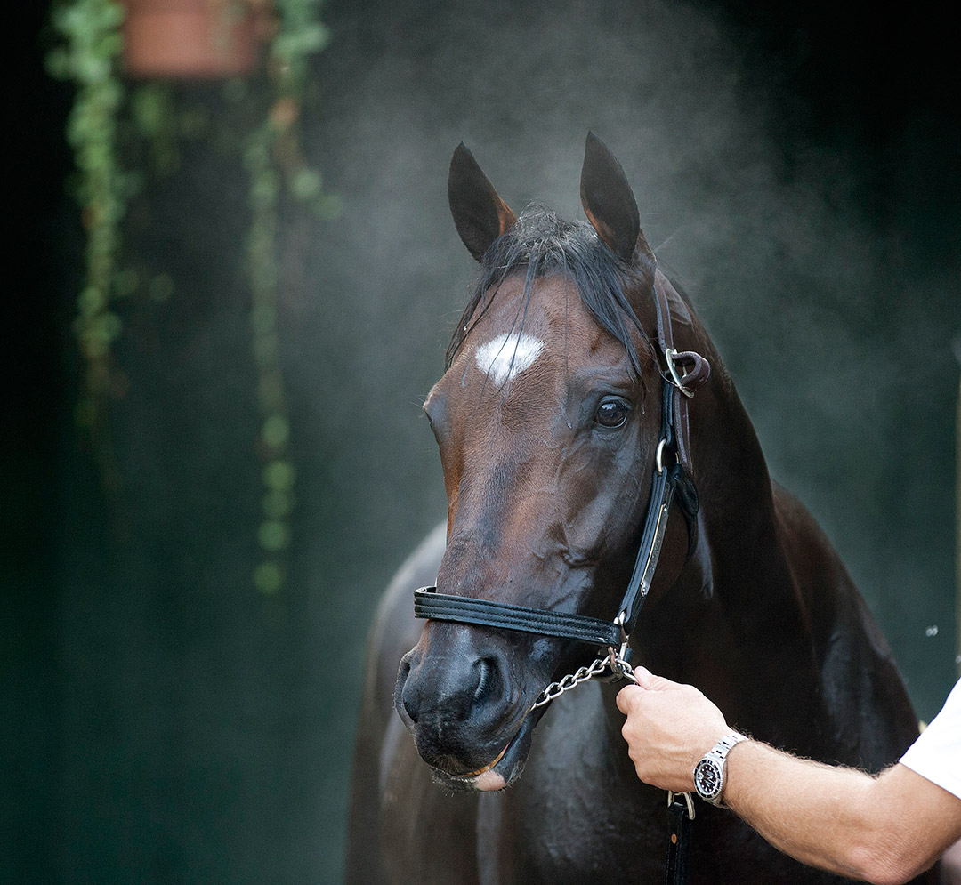 Paynter 2013