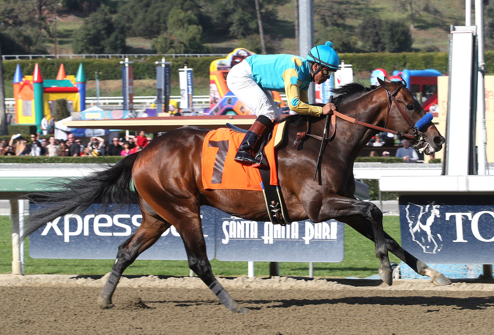 Paynter 2012