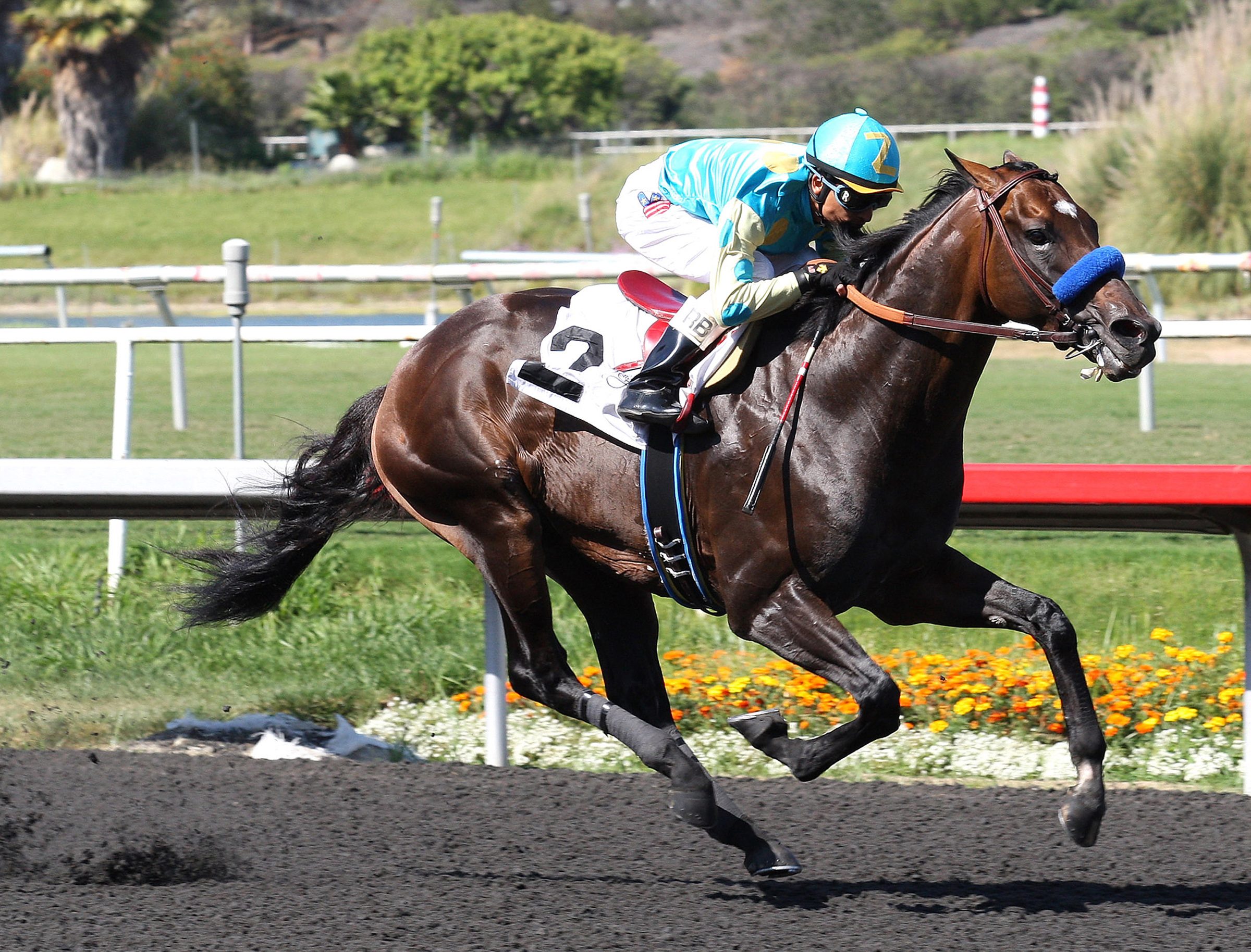 Paynter