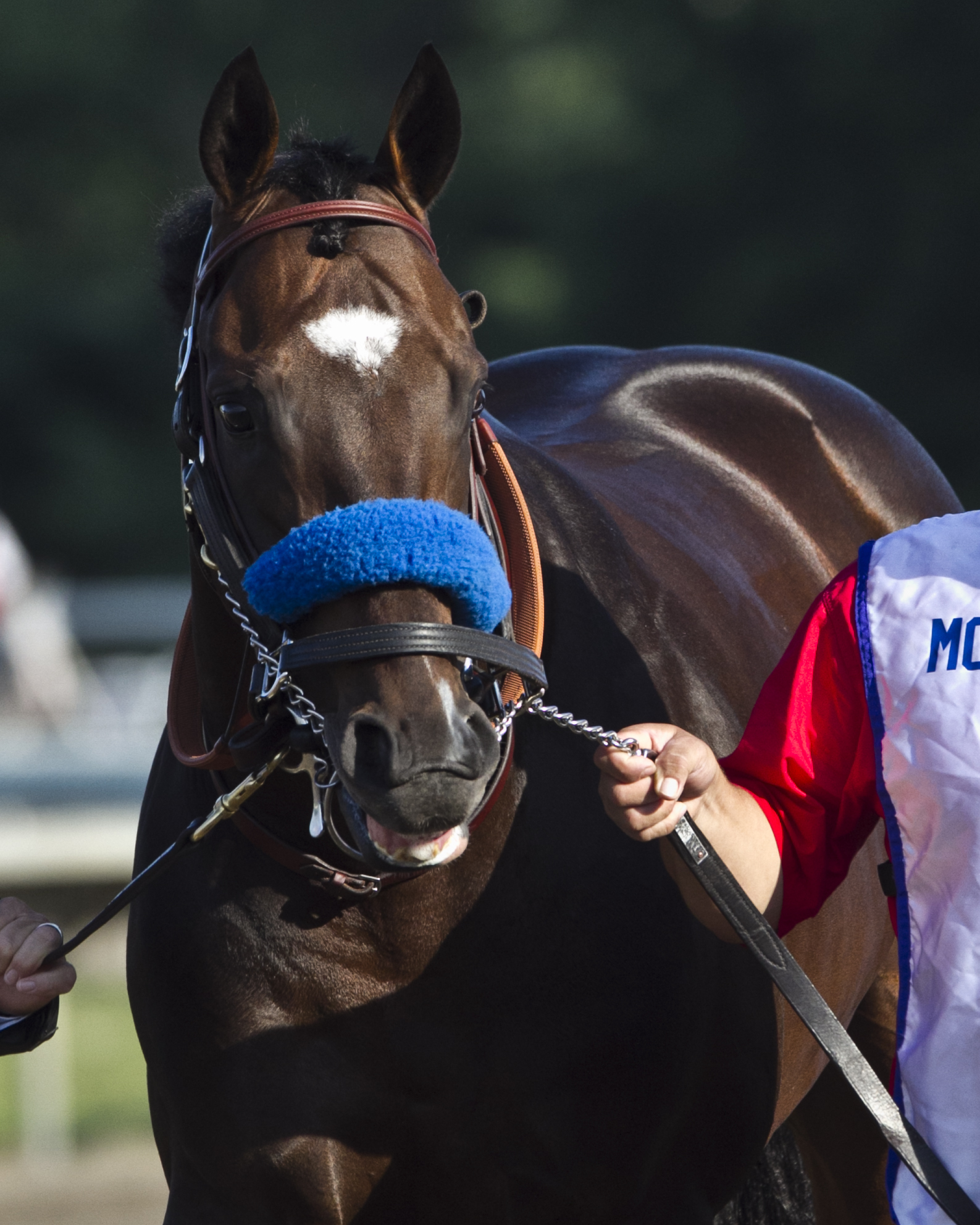 Paynter