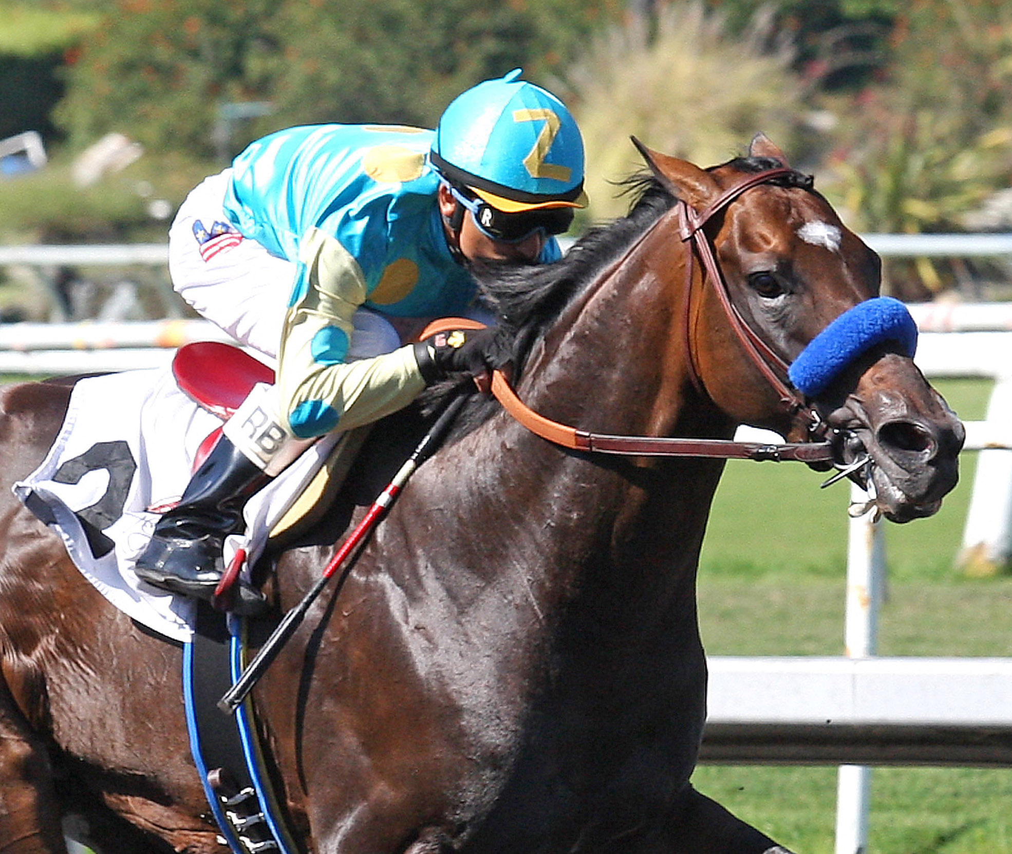 Paynter, allowance win