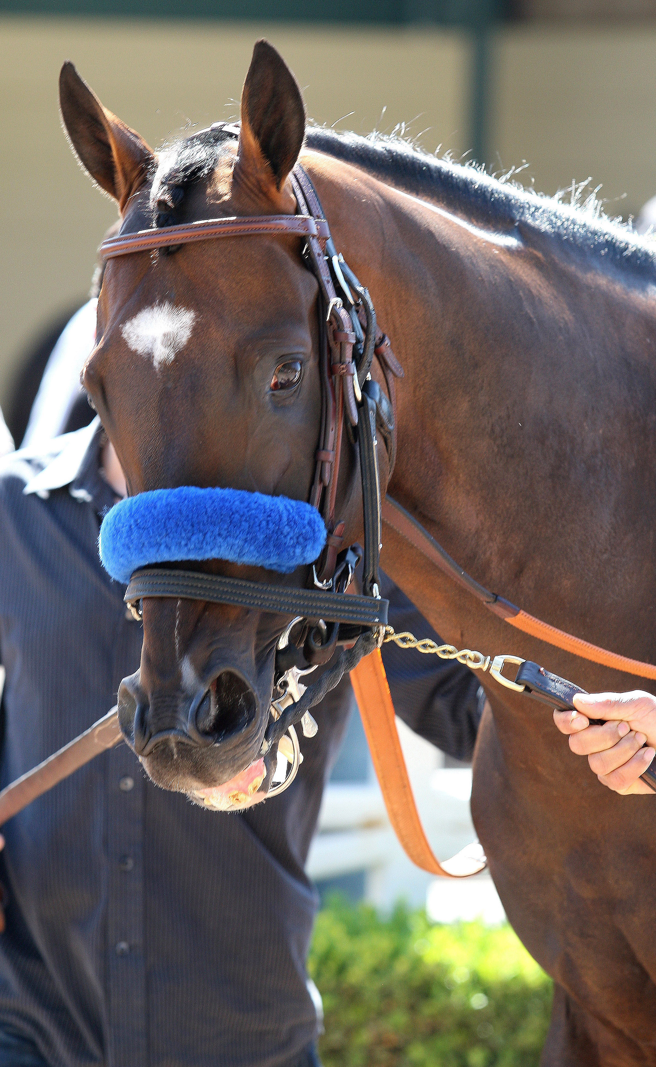 Paynter