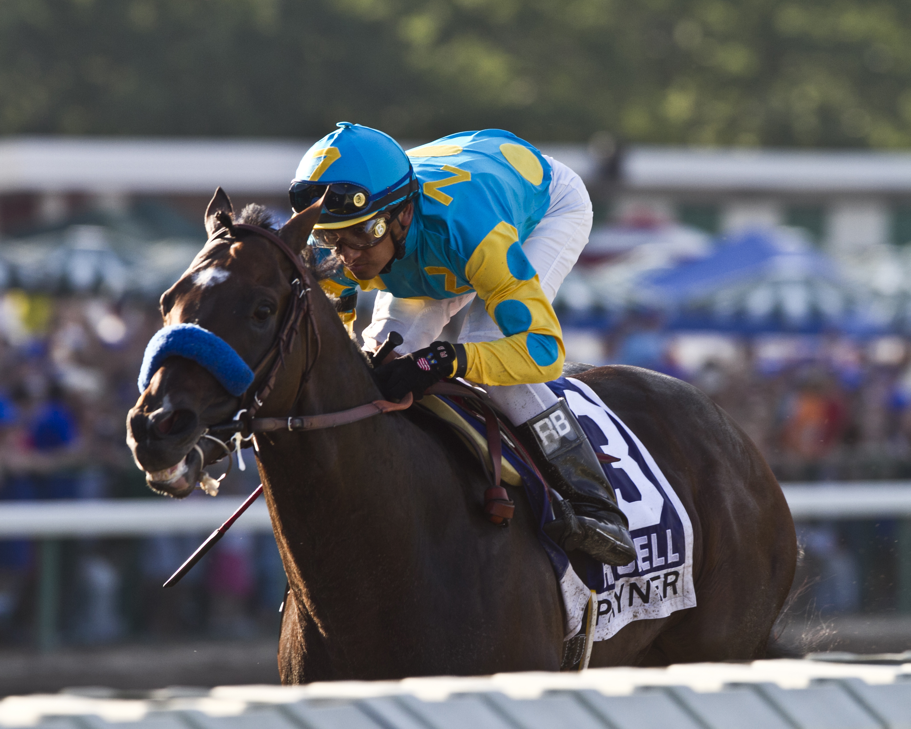 Paynter/Haskell