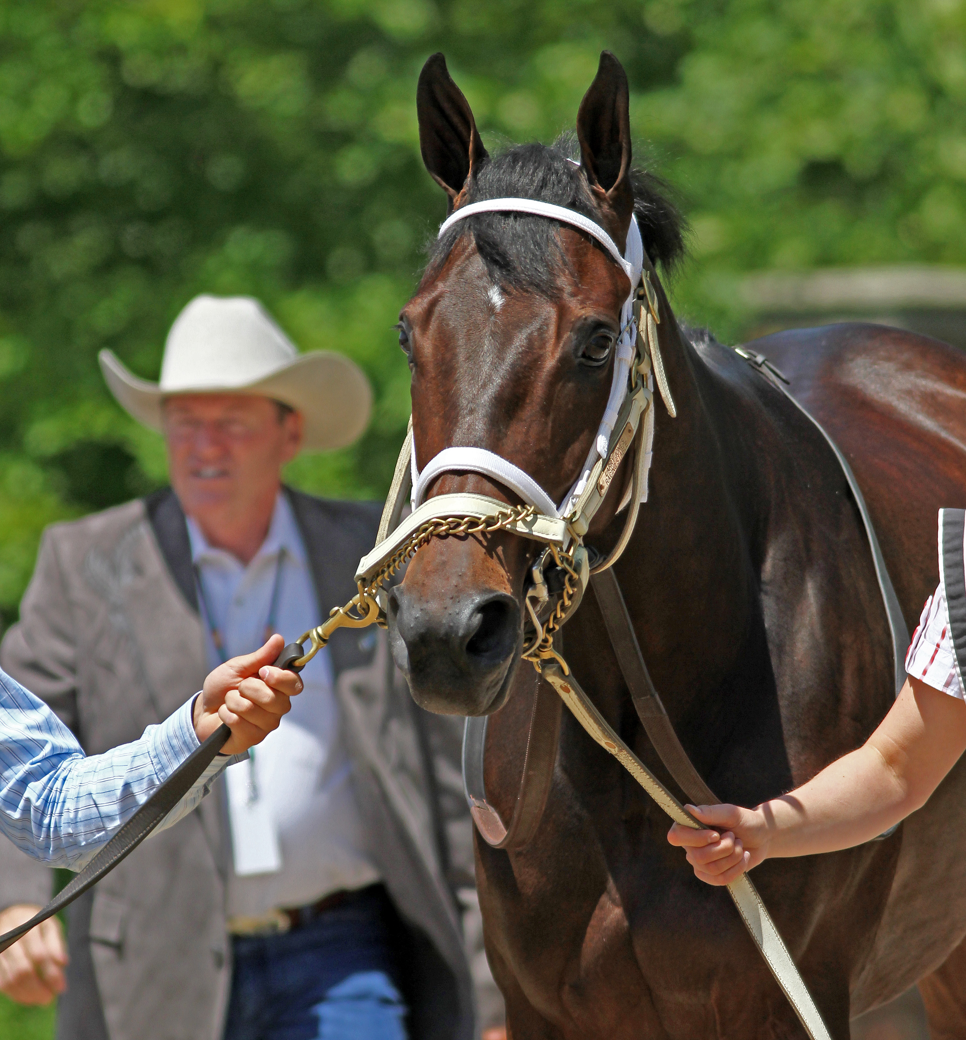 Payton d'Oro/Larry Jones