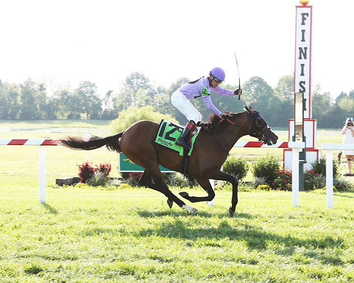 Peace Achieved wins the 2019 Kentucky Downs Juvenile