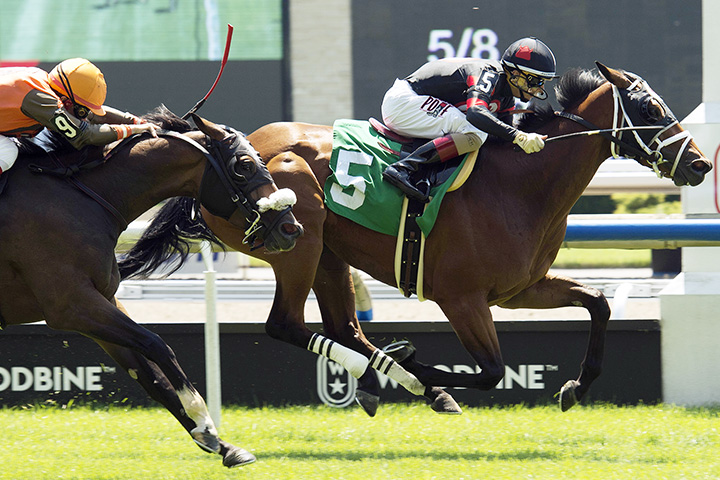 Peace Sign wins a July 20 maiden race at Woodbine