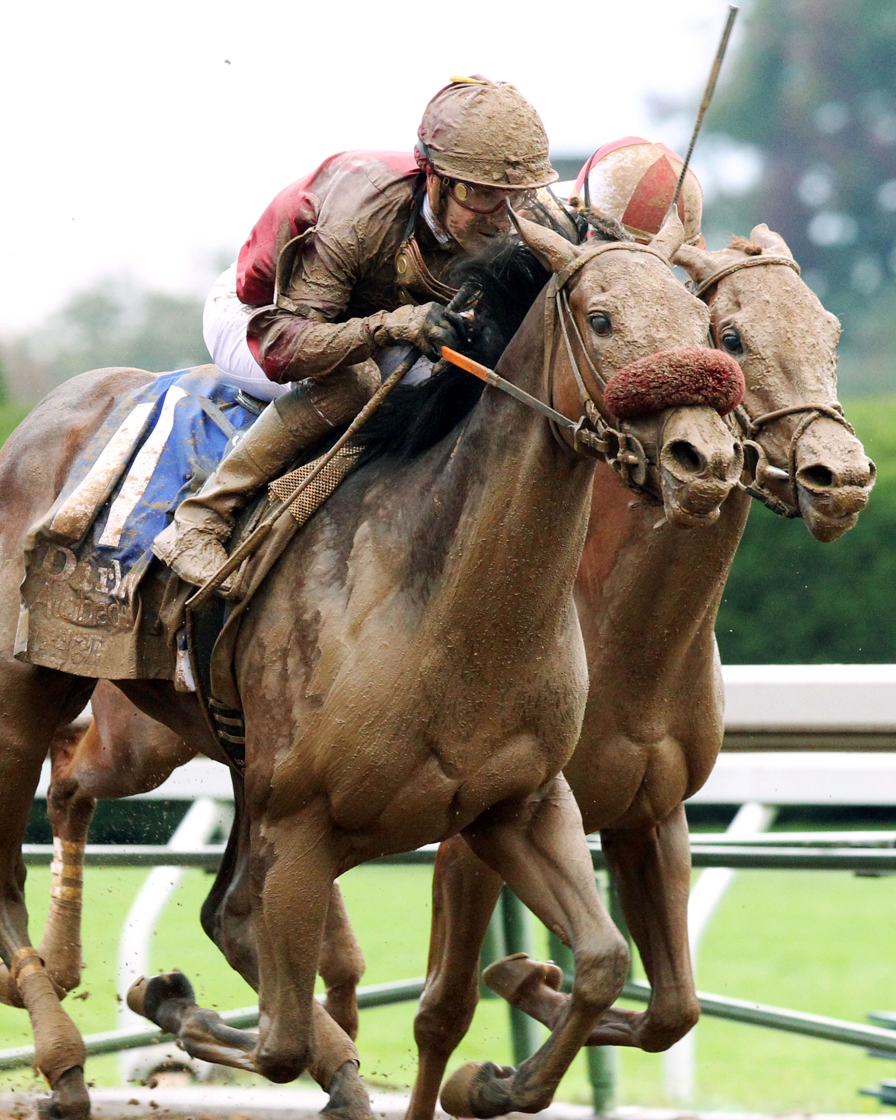 Peace and War wins the 2014 Darley Alcibiades