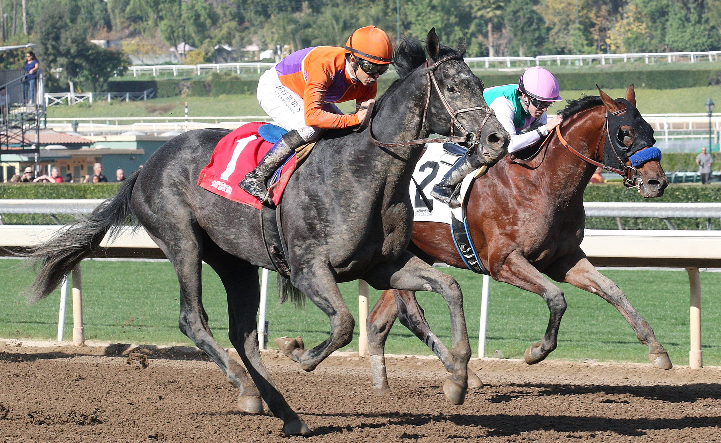 Peace wins a Dec. 30 maiden race