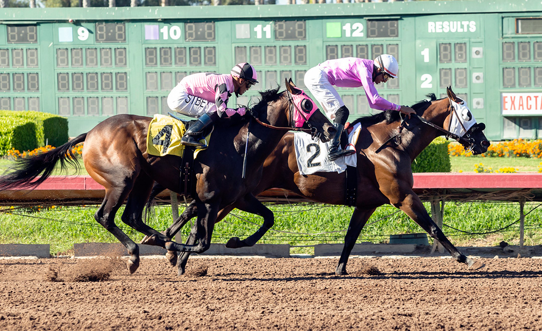 Peaceful Transfer (2) crosses the finish line first in the E.B. Johnston Stakes at Los Alamitos
