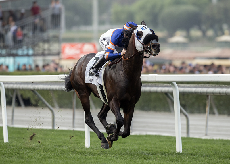 Pee Wee Reese wins the 2018 Joe Hernandez Stakes
