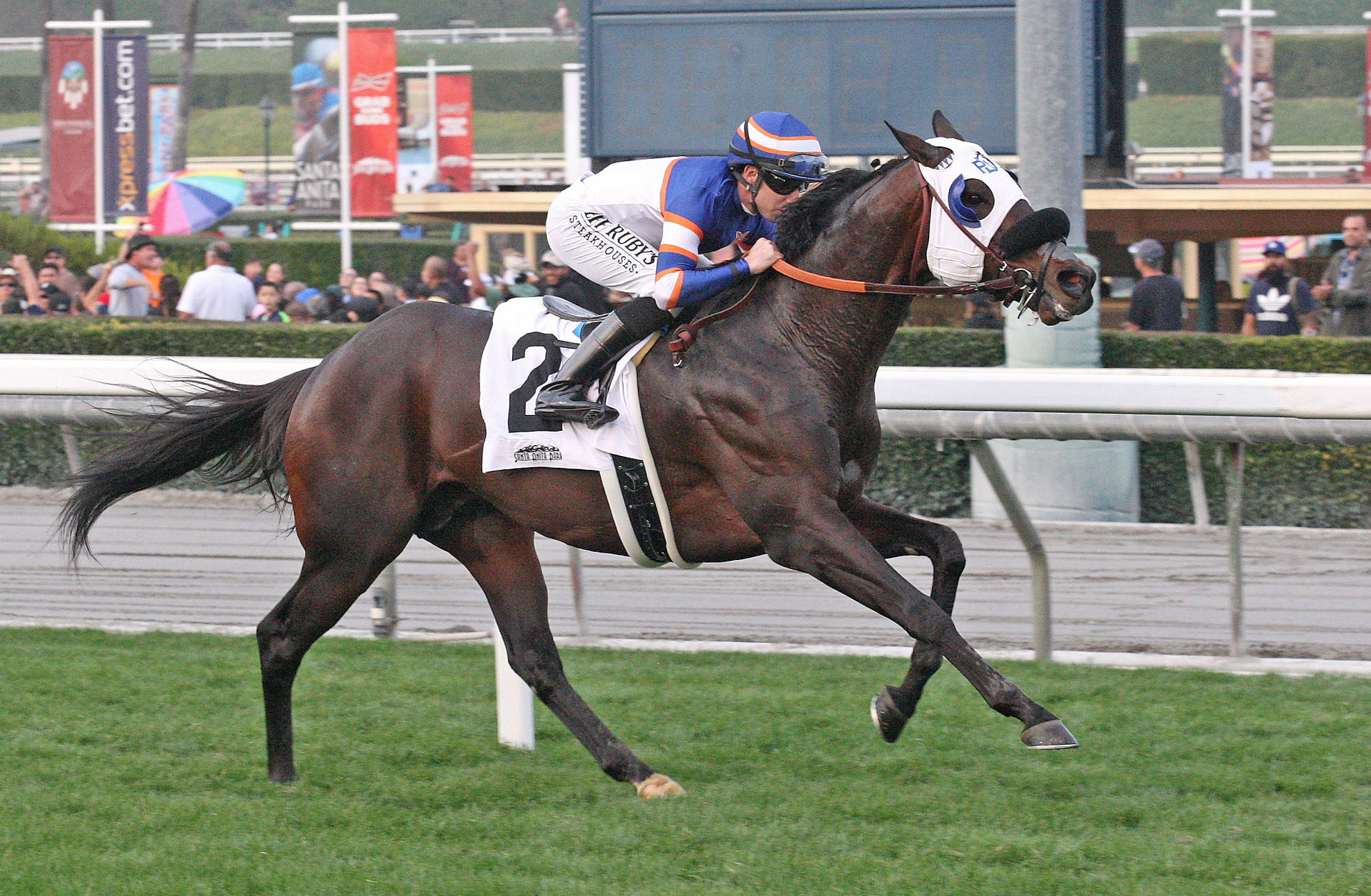 Pee Wee Reese wins the 2018 Joe Hernandez Stakes