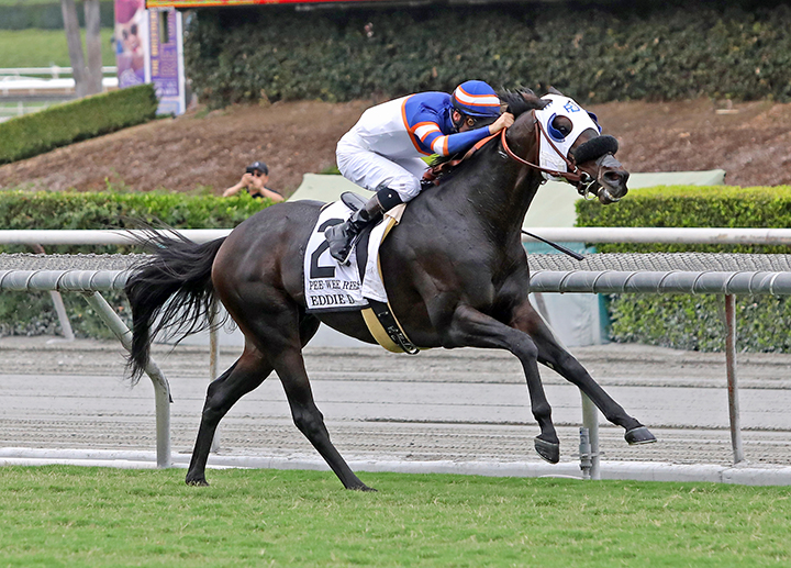 Pee Wee Reese wins the 2019 Eddie D Stakes at Santa Anita Park