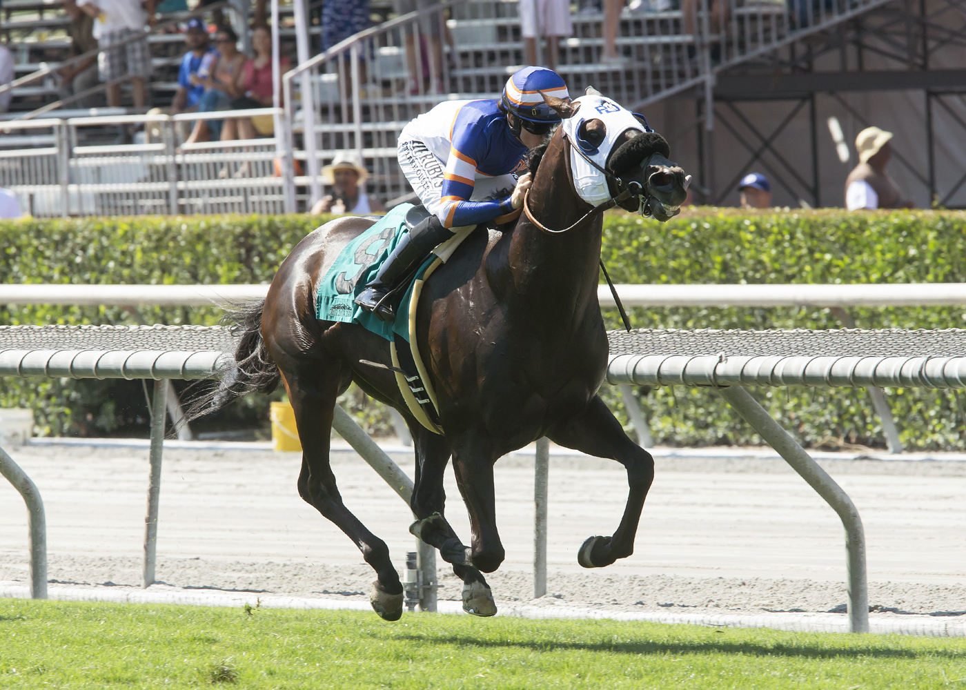 Pee Wee Reese wins the American Stakes
