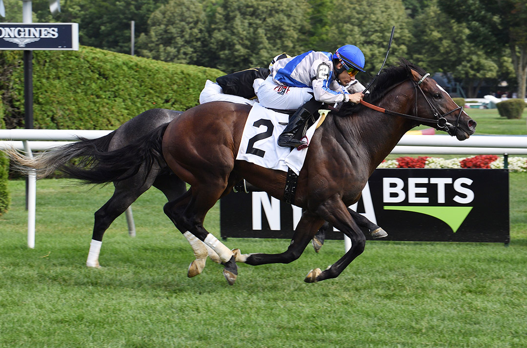 Penalty wins a July 2019 allowance at Saratoga