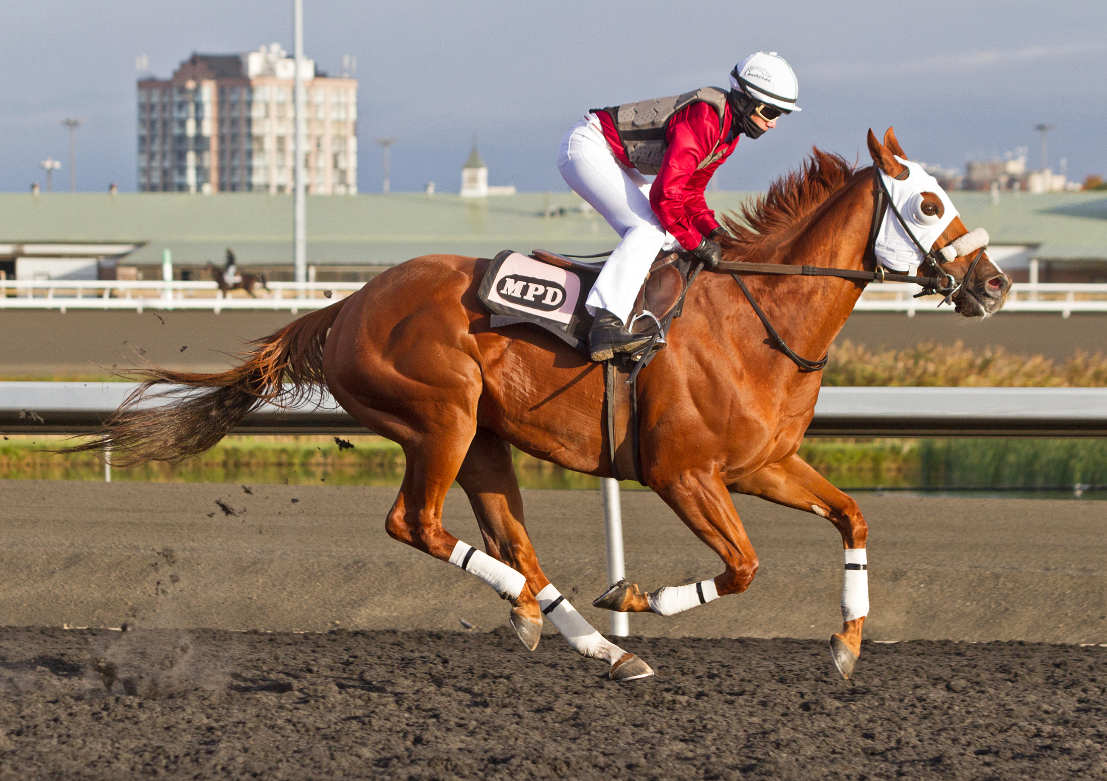 Pender Harbour trains at Woodbine on Oct. 18