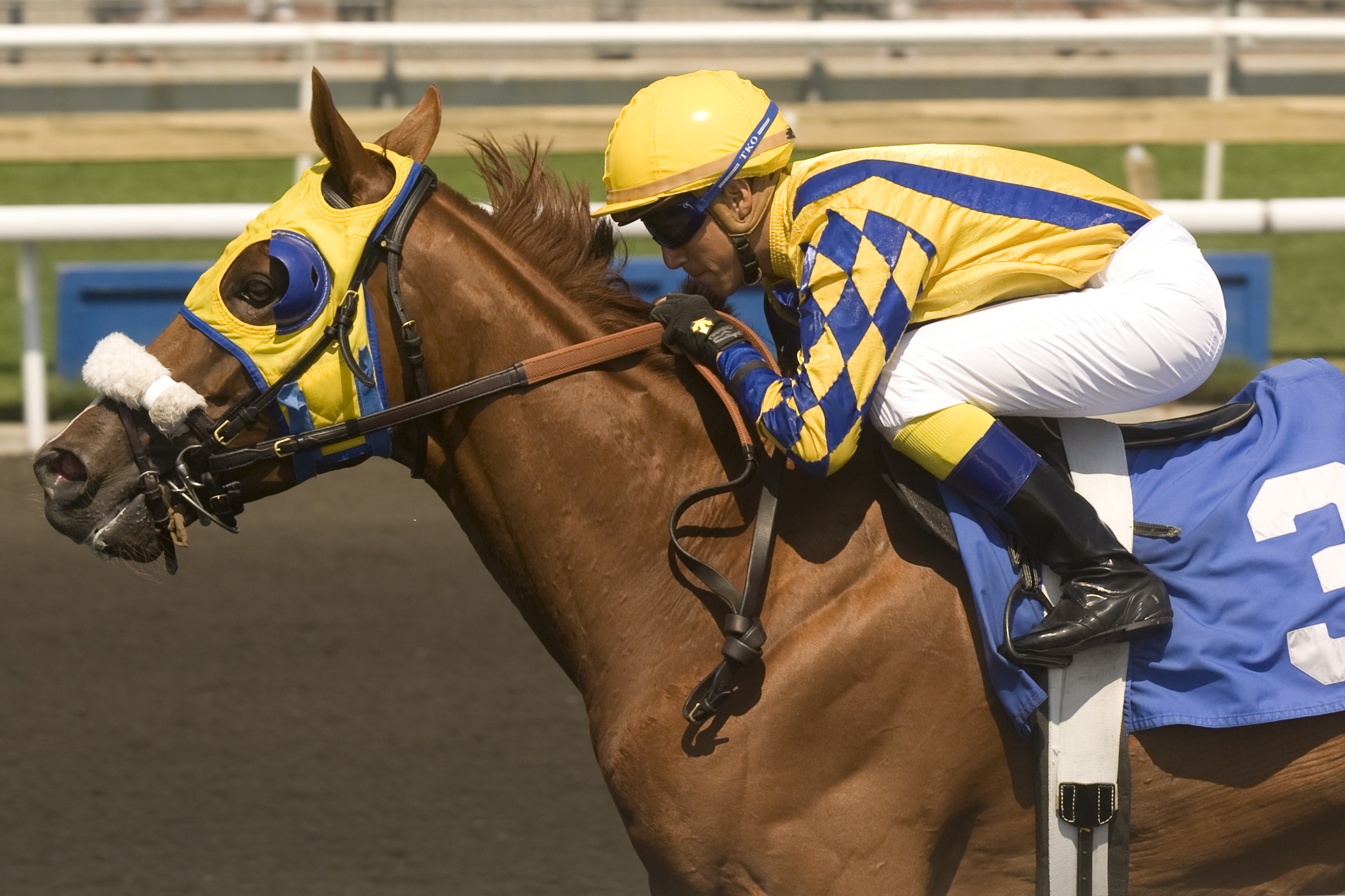 Pender Harbour/Elgin Stakes