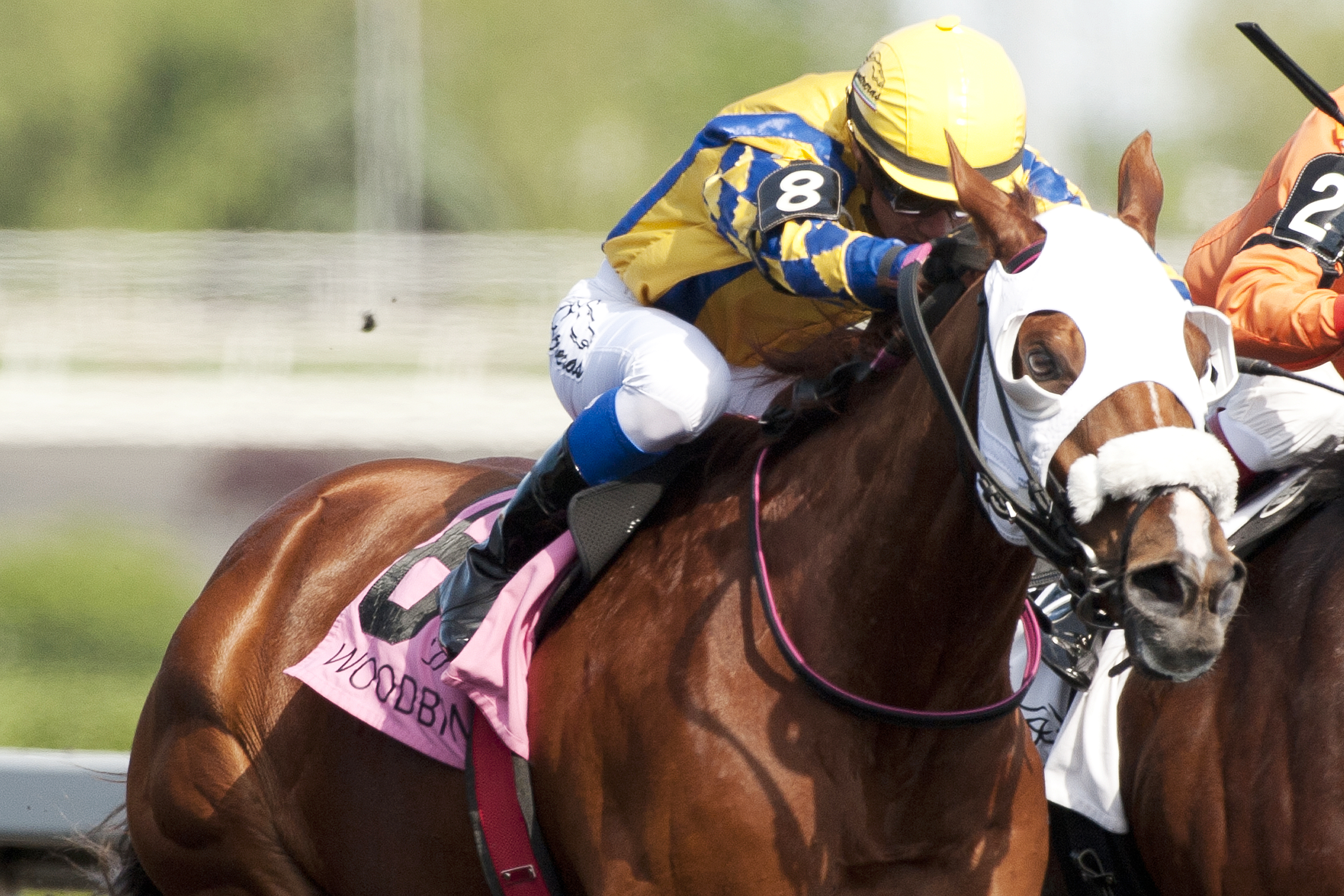 Pender Harbour wins the Steady Growth Stakes