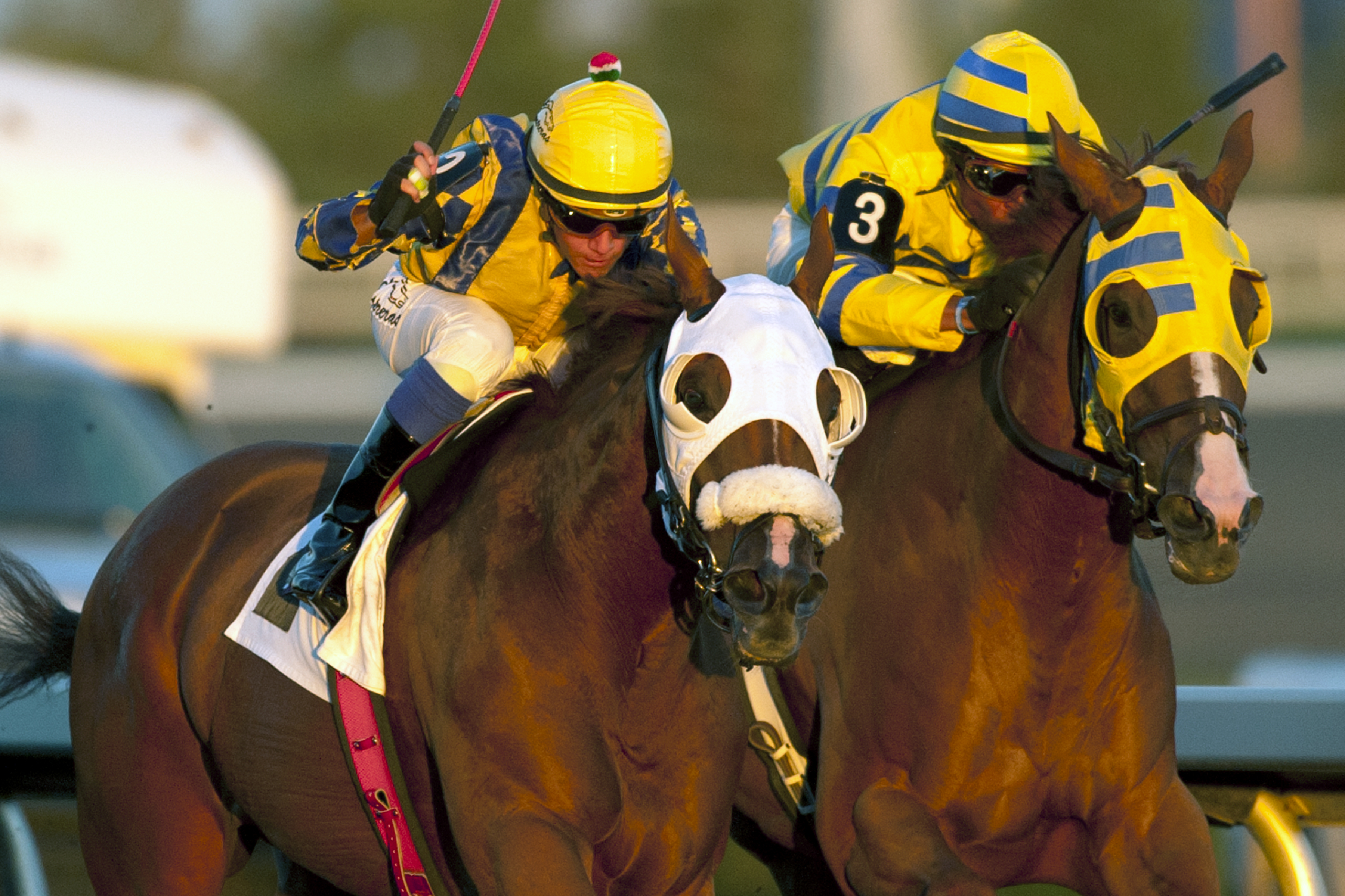 Pender Harbour wins the Elgin Stakes