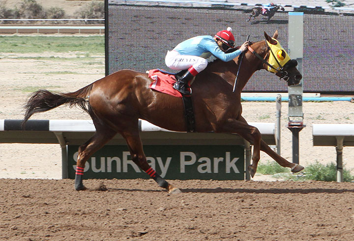 Pendleton wins the 2019 San Juan County Commissioners Stakes at SunRay Park