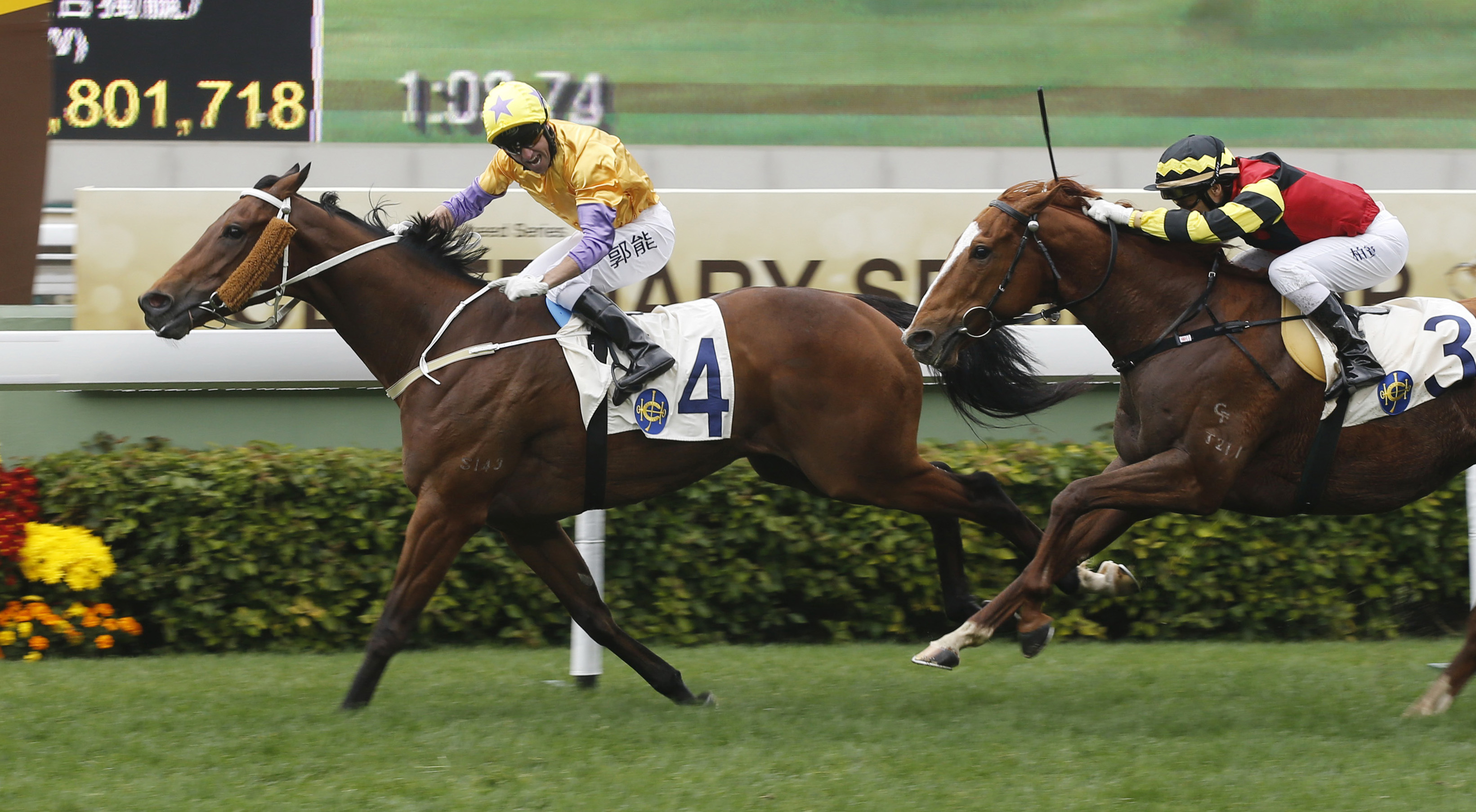 Peniaphobia wins the Centenary Sprint Cup