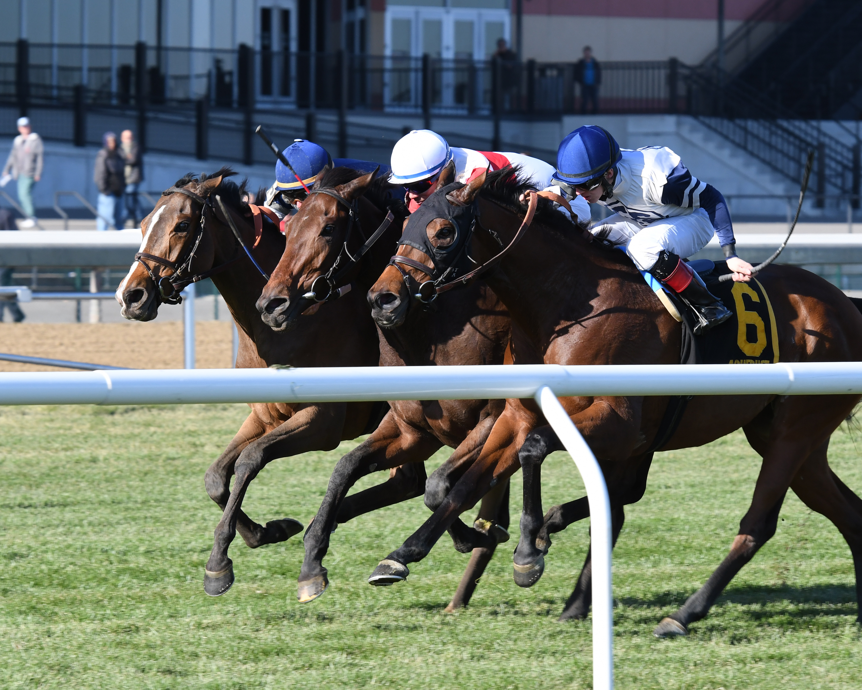 Aqueduct turf racing