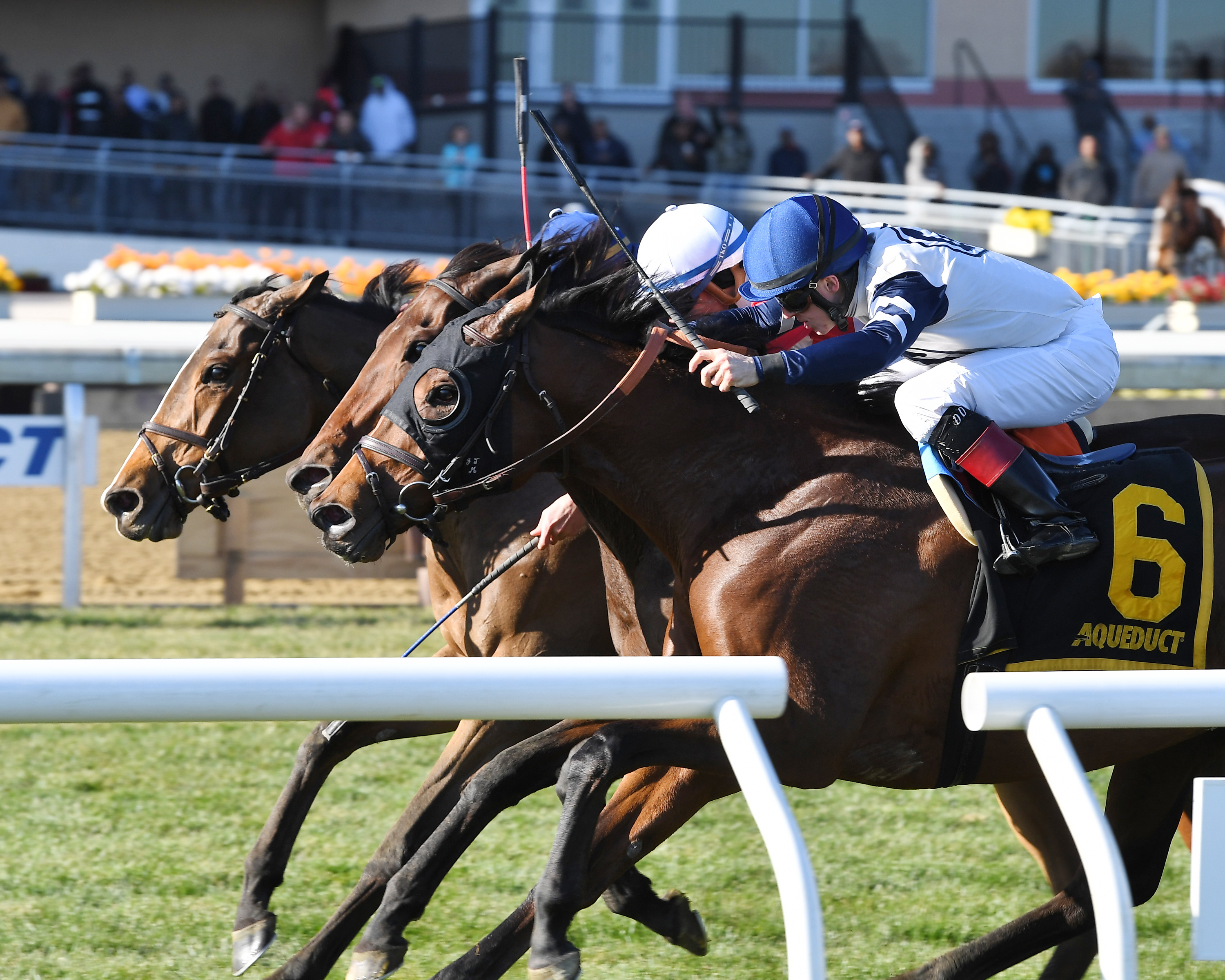 Not Taken finishes second in the Forever Together Stakes